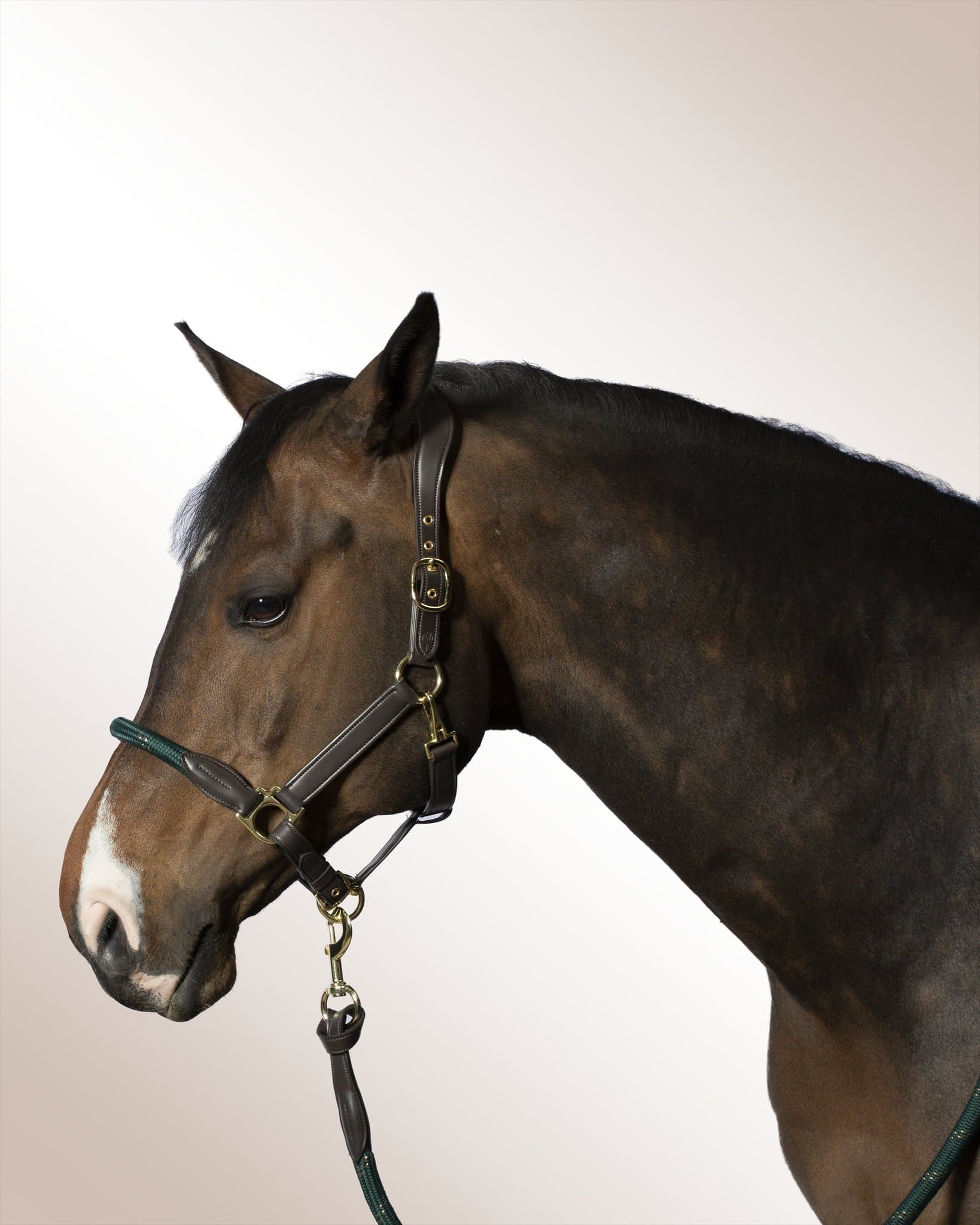 Halter Mela Olivoro