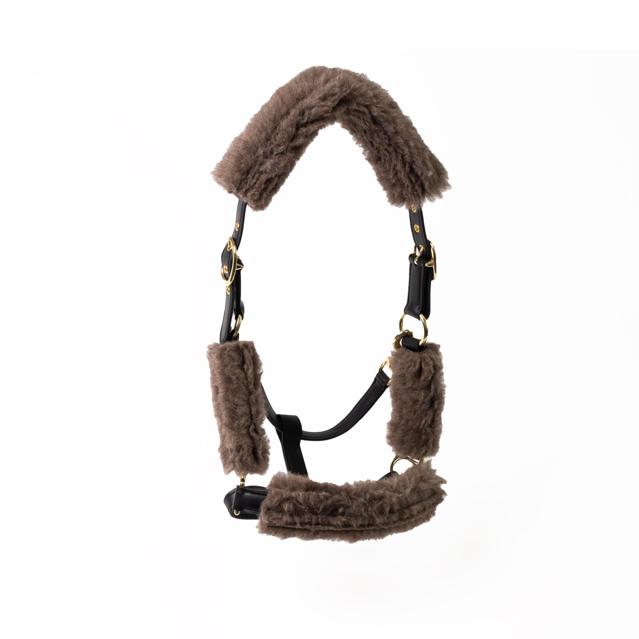 Halter with Alpaca Fleece — side view