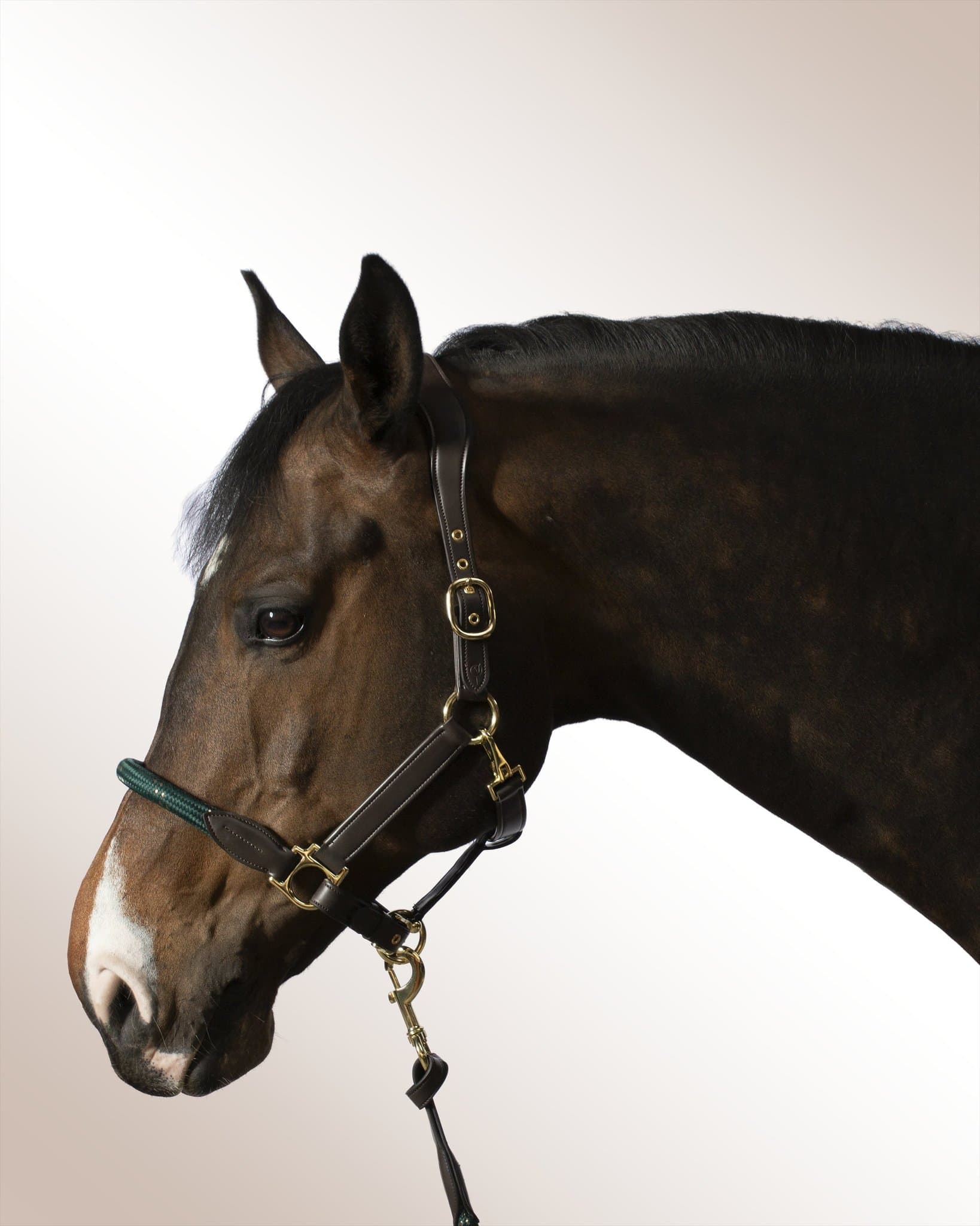Halter Mela Olivoro