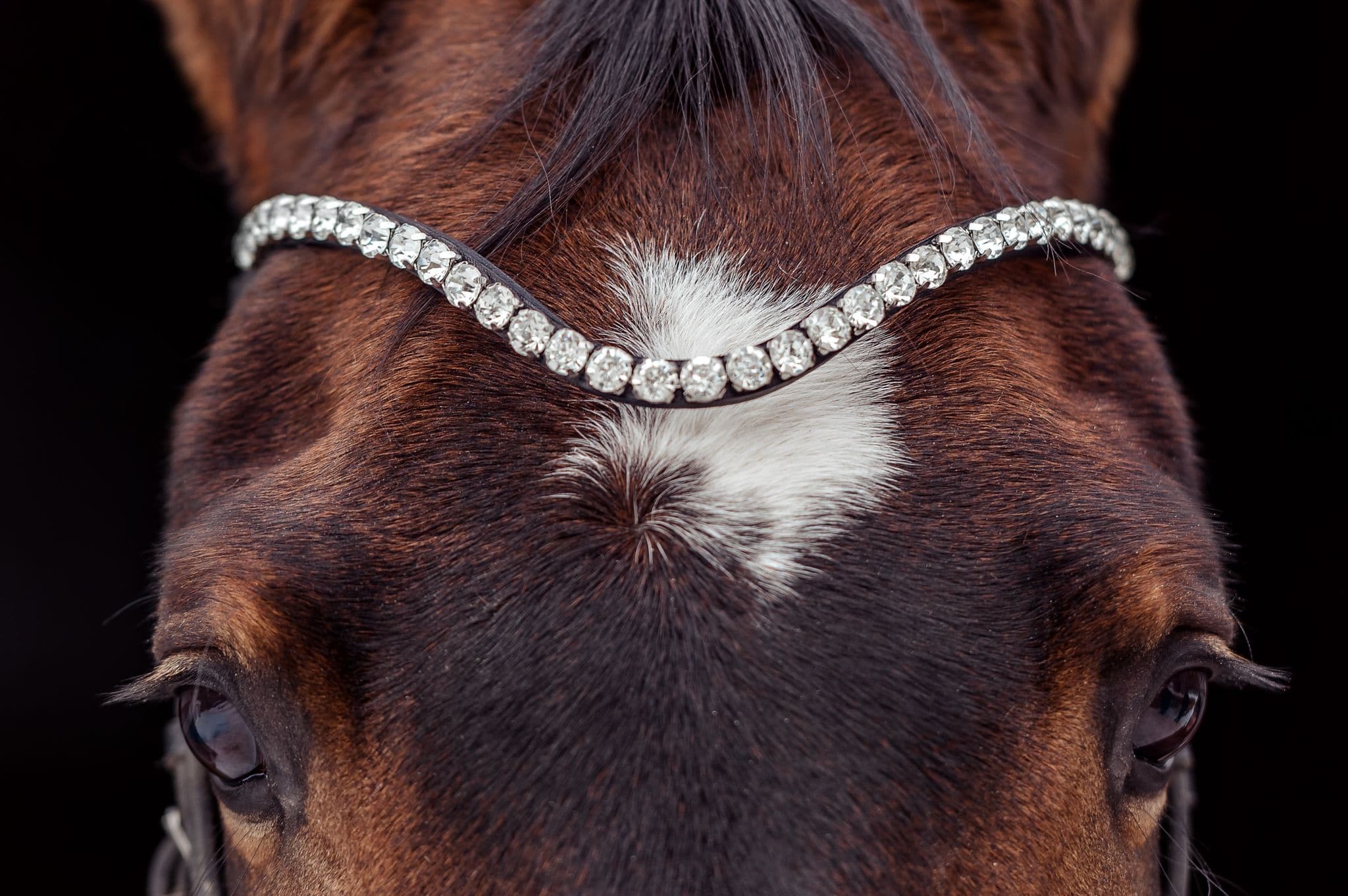 Browband with Crystals