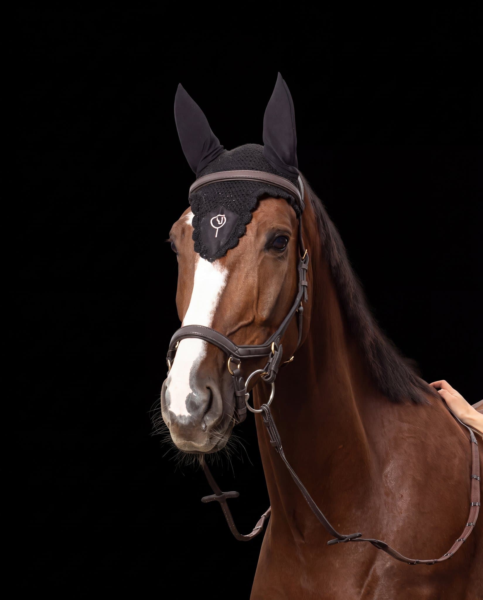 Bridle Mela Caventina