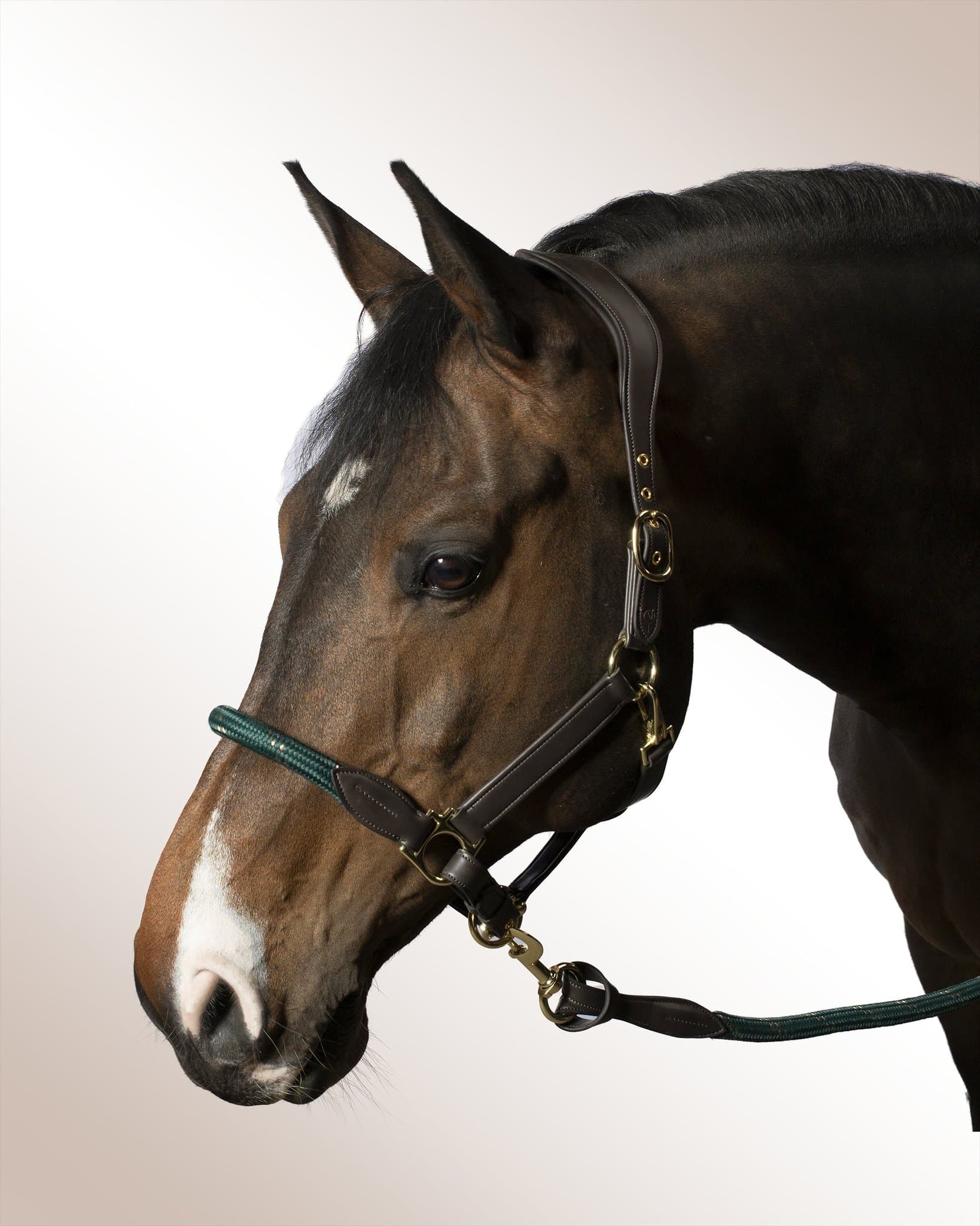 Halter Mela Olivoro