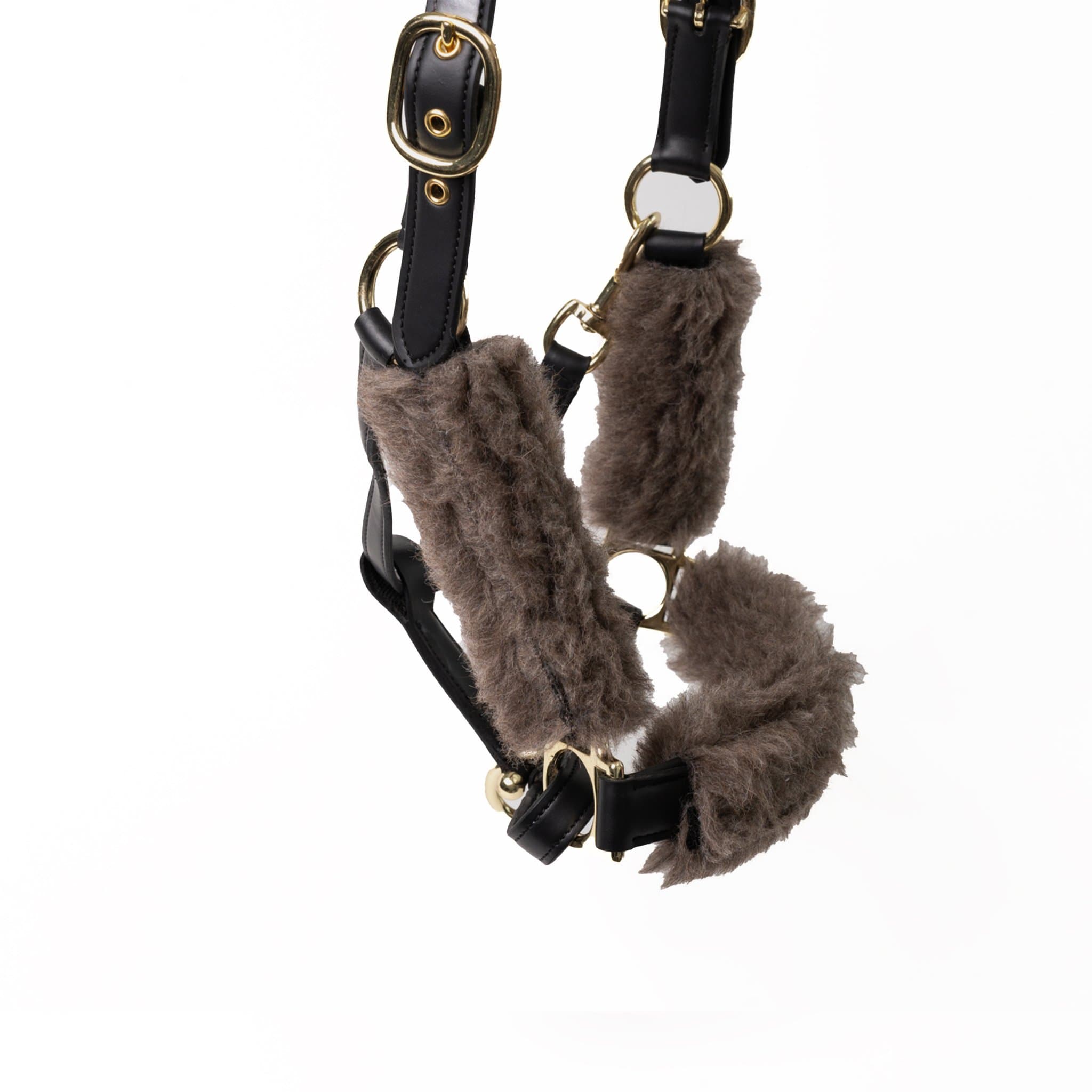 Halter with Alpaca Fleece — detail