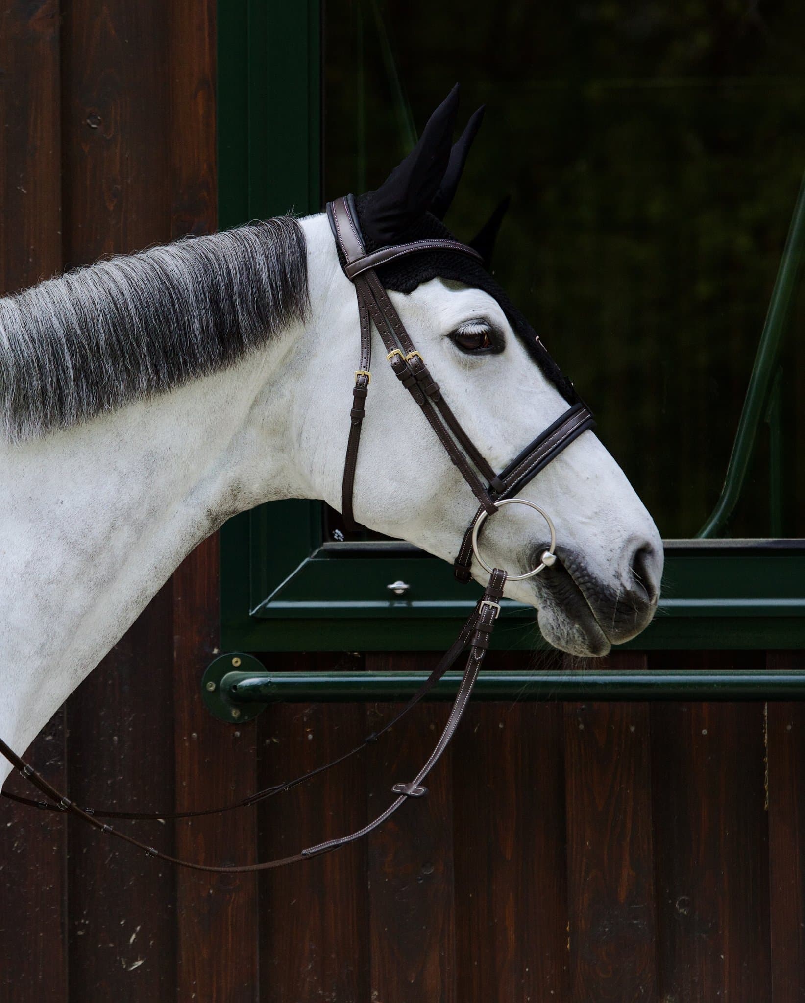 Bridle Mela Brischino