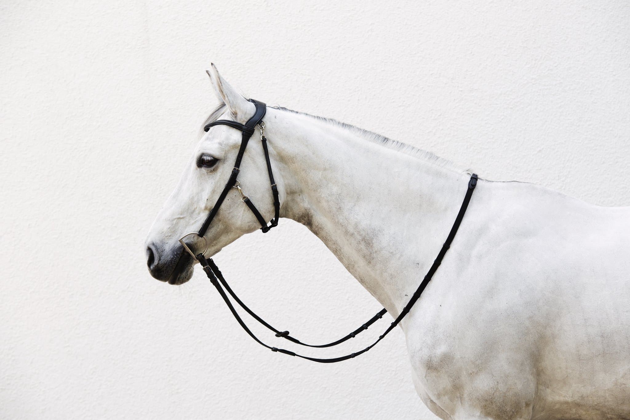 Bridle Mela Elacorda