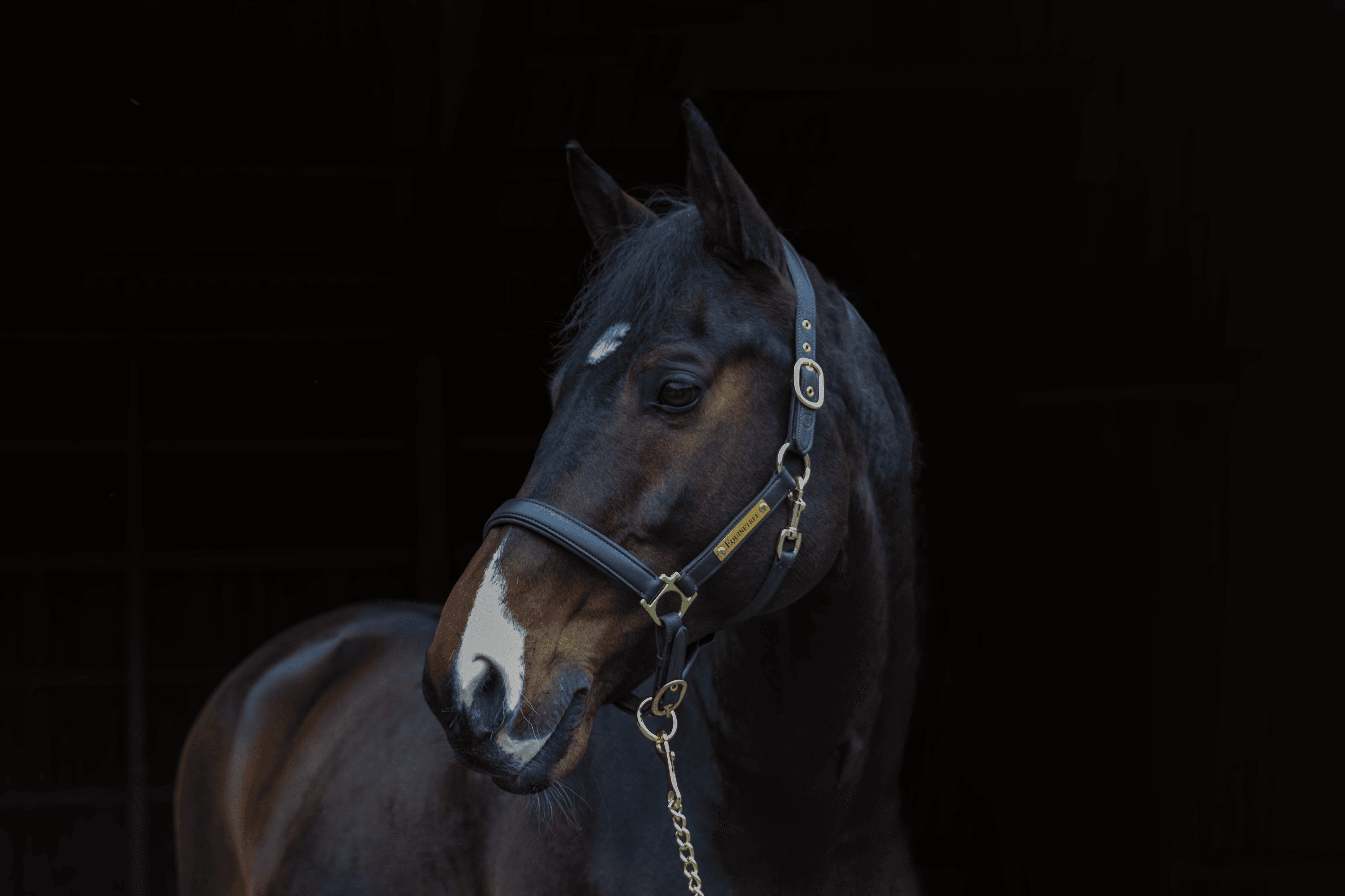 Equinetree featured product