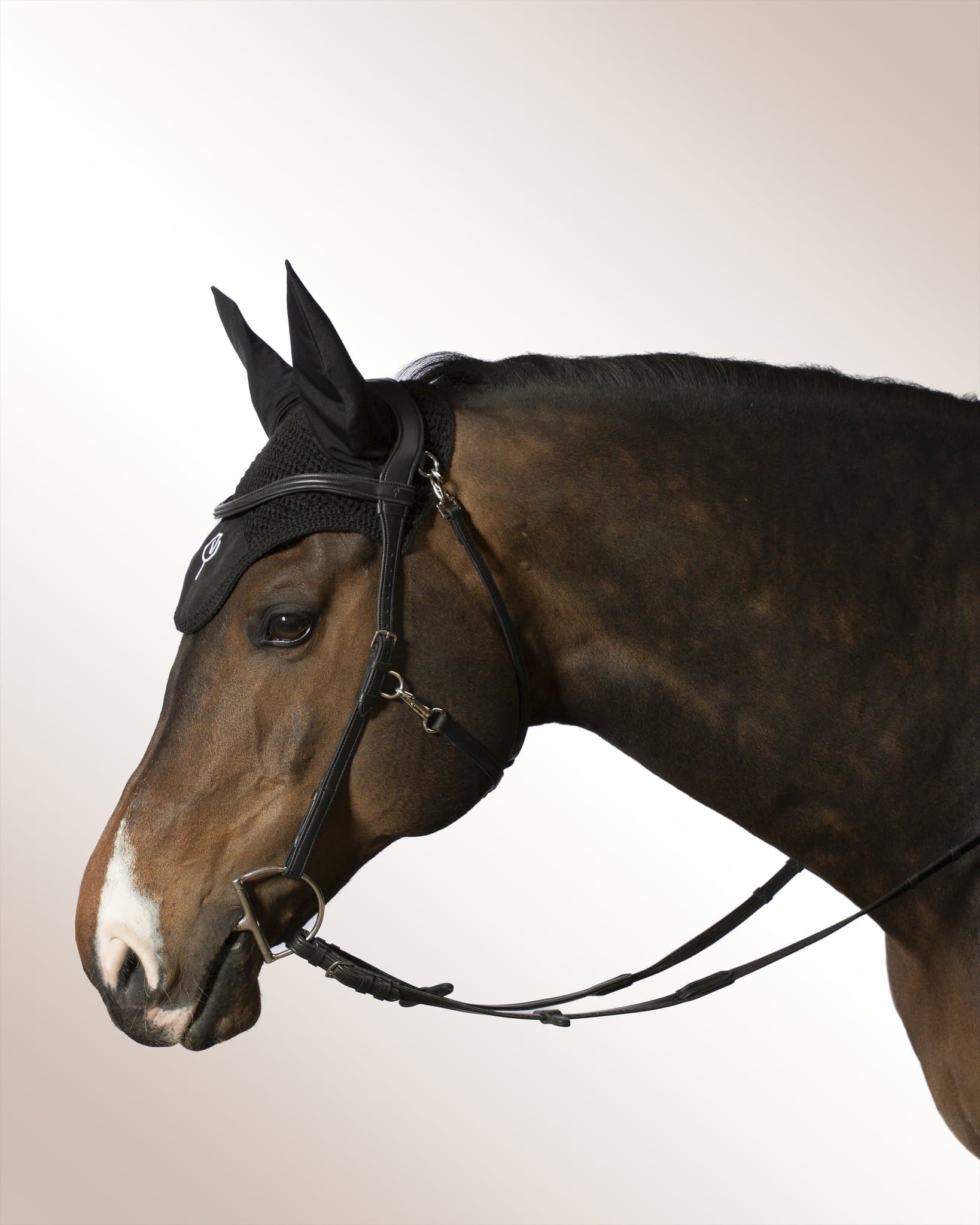 Bridle Mela Elacorda