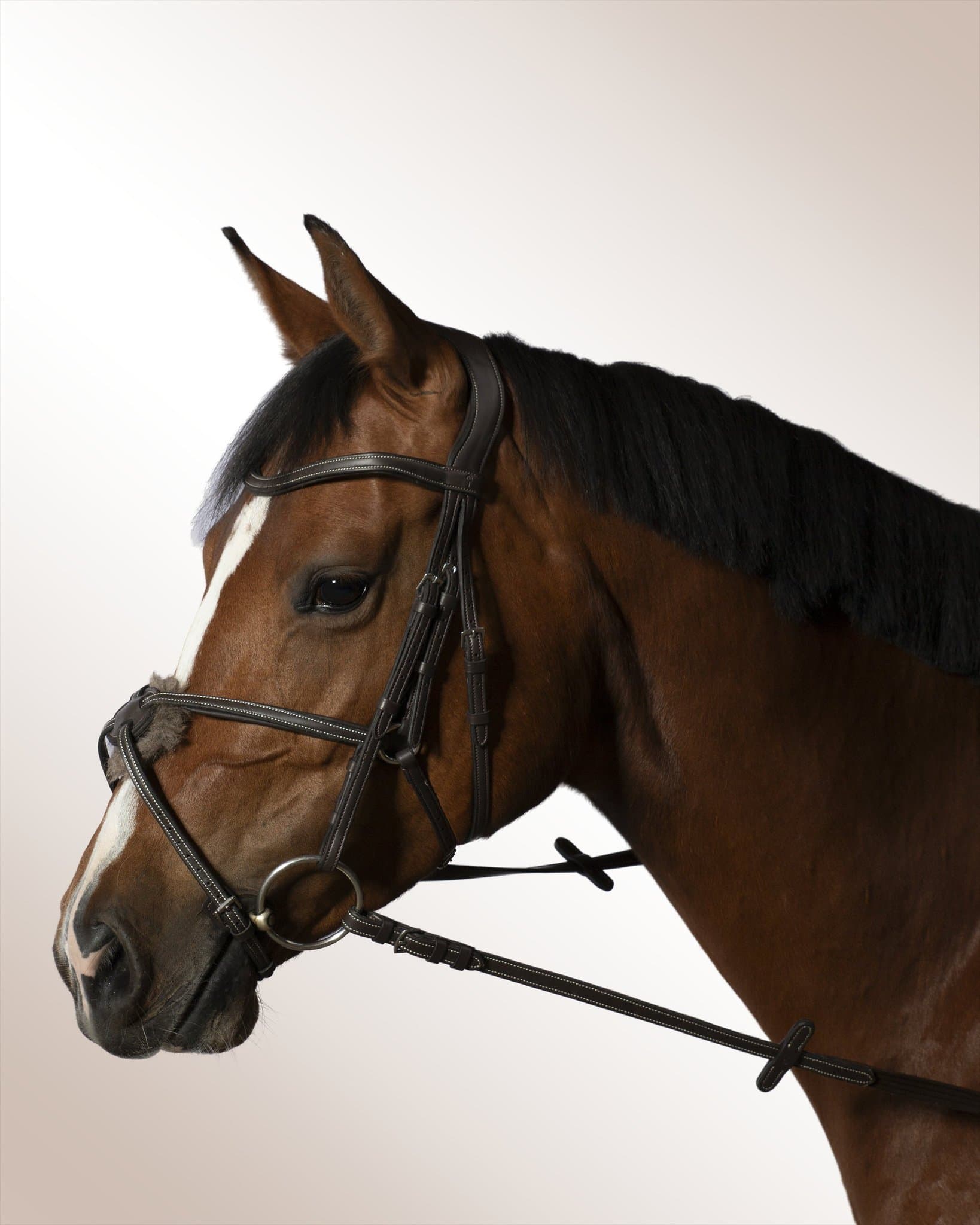 Bridle Mela Colligino