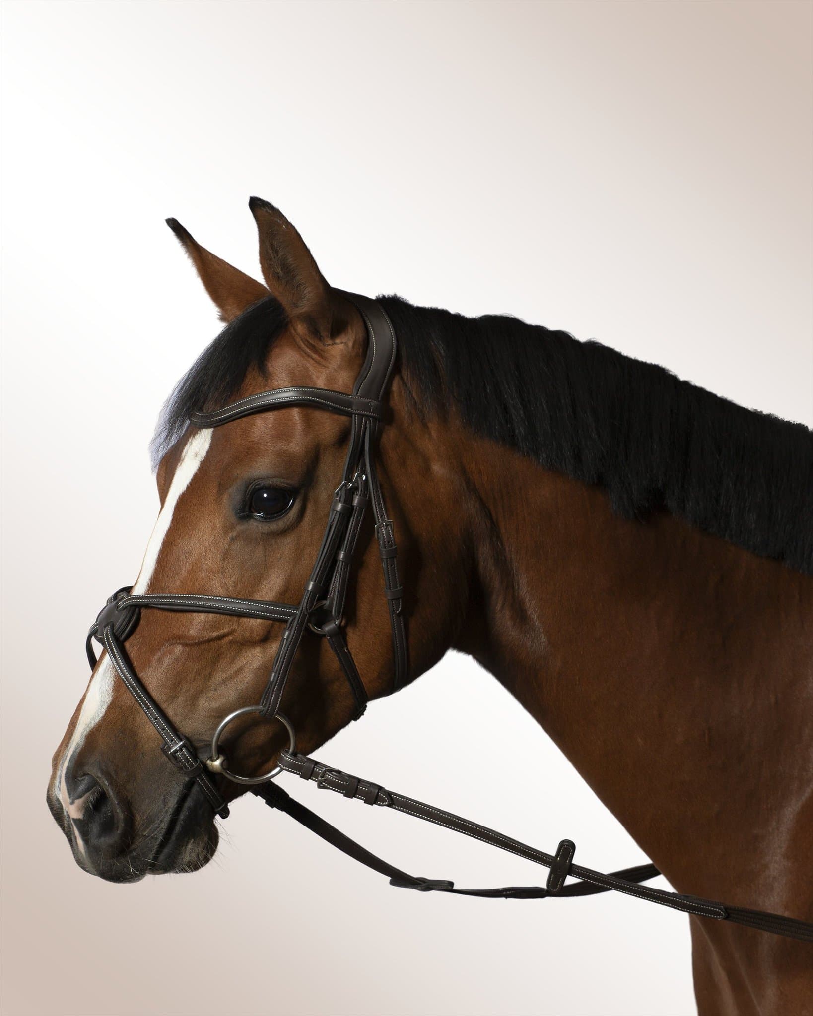 Bridle Mela Colligino