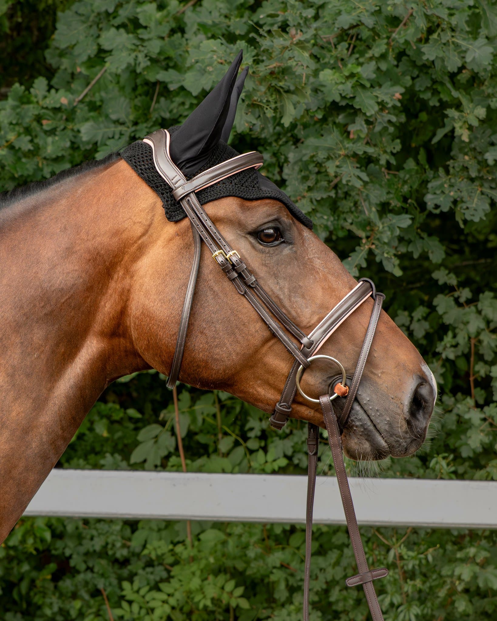Bridle Vivento - Rosaticana