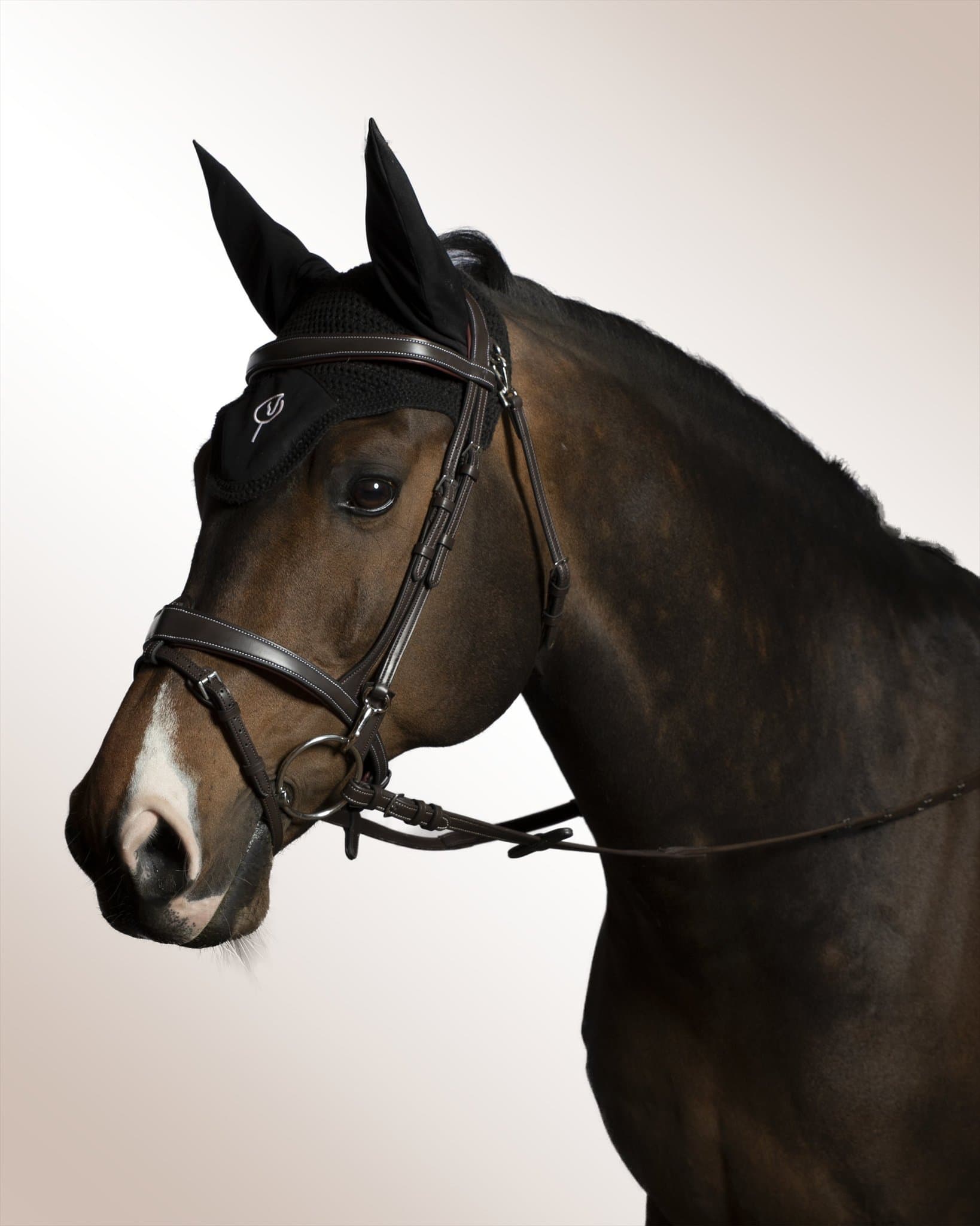 Bridle Mela Lenaglia