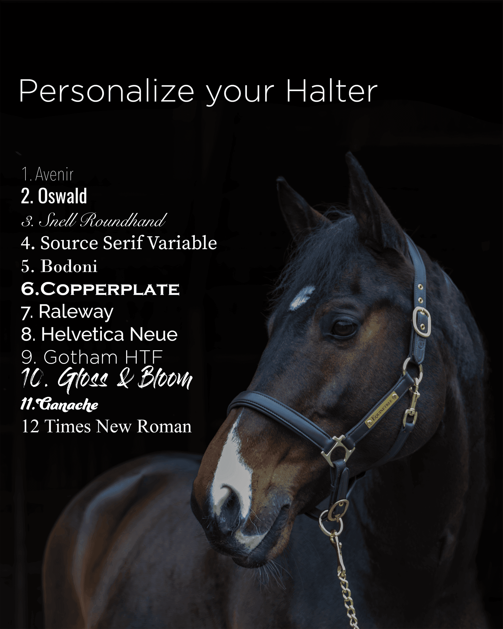 Halter Mela Anatomically - with Personalized Name Tag