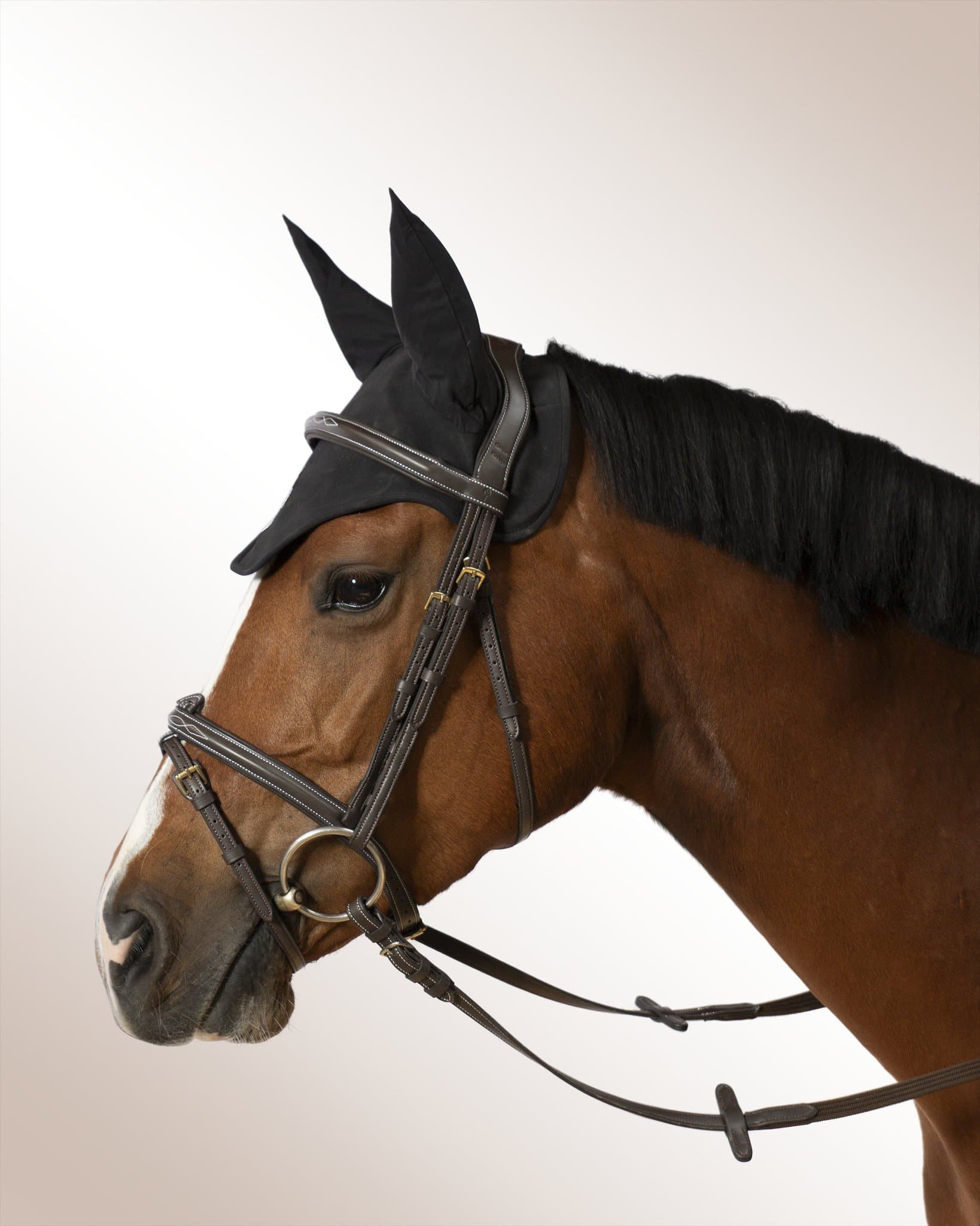 Bridle Mela Oraglia
