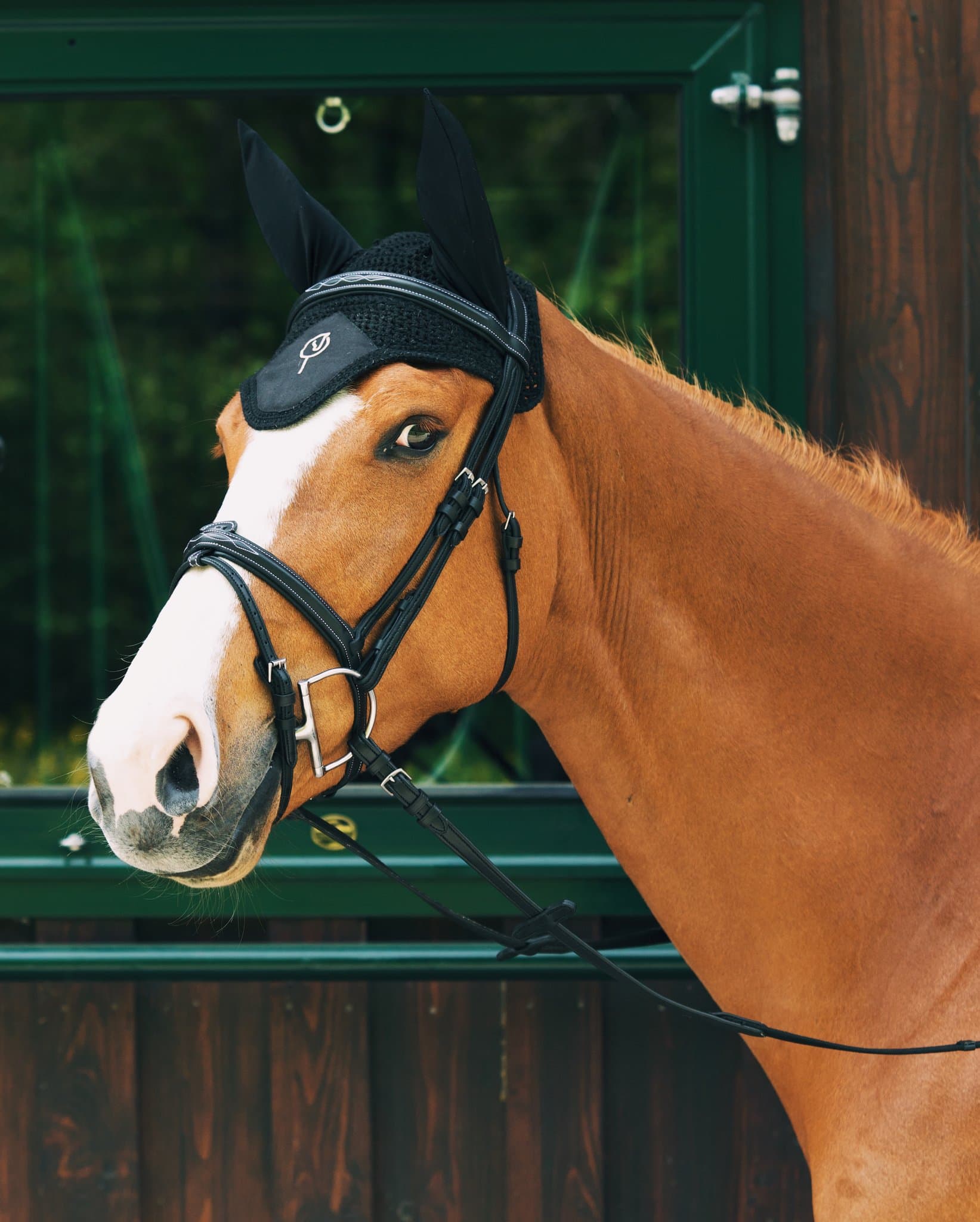 Bridle Mela Oraglia