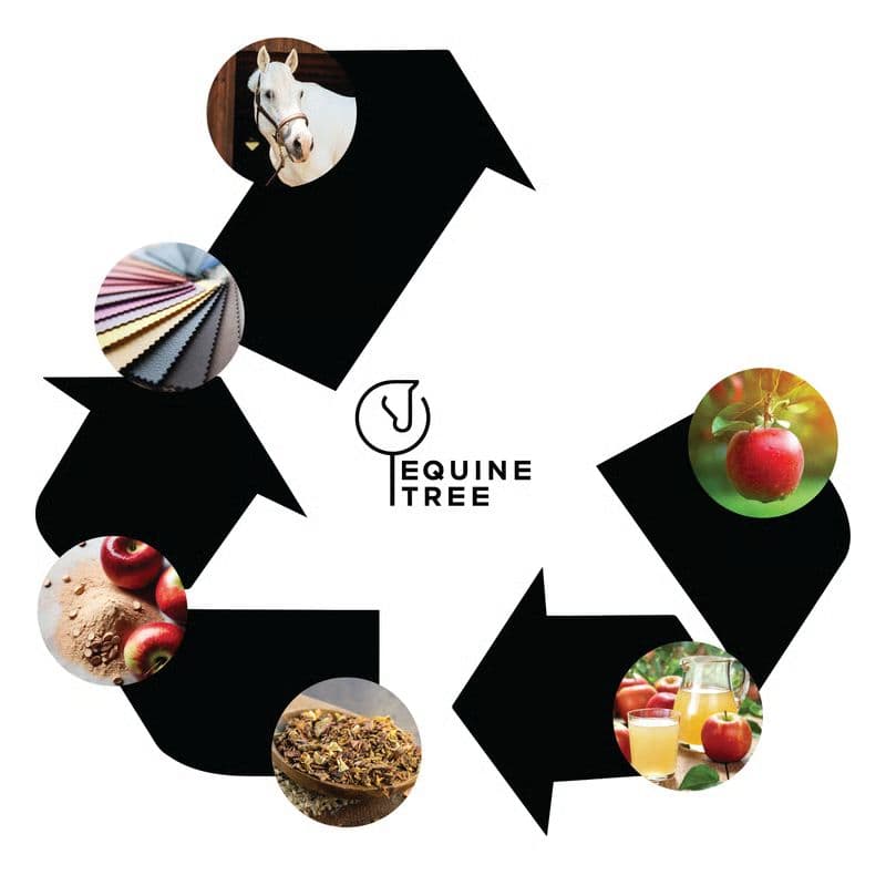 Equinetree sustainable production