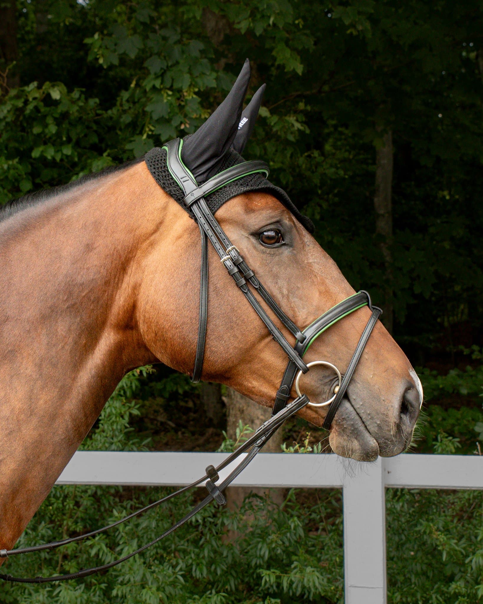 Bridle Mela Vivento Smeralda
