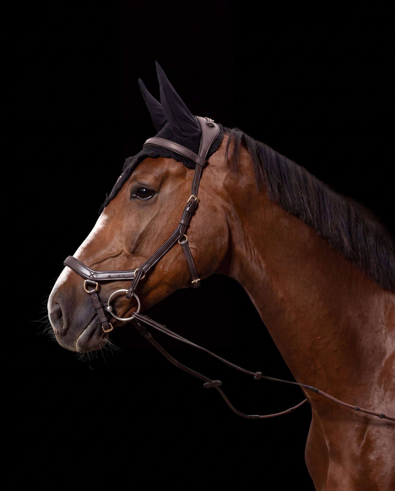 Bridle Mela Caventina