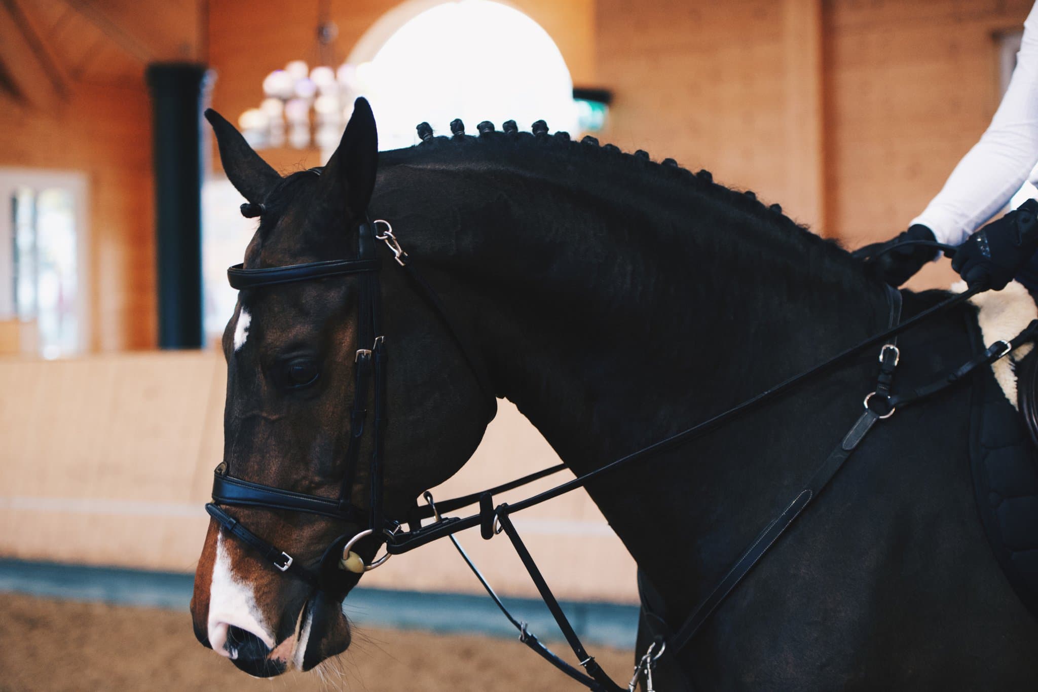 Bridle Mela Black Classic - INOX