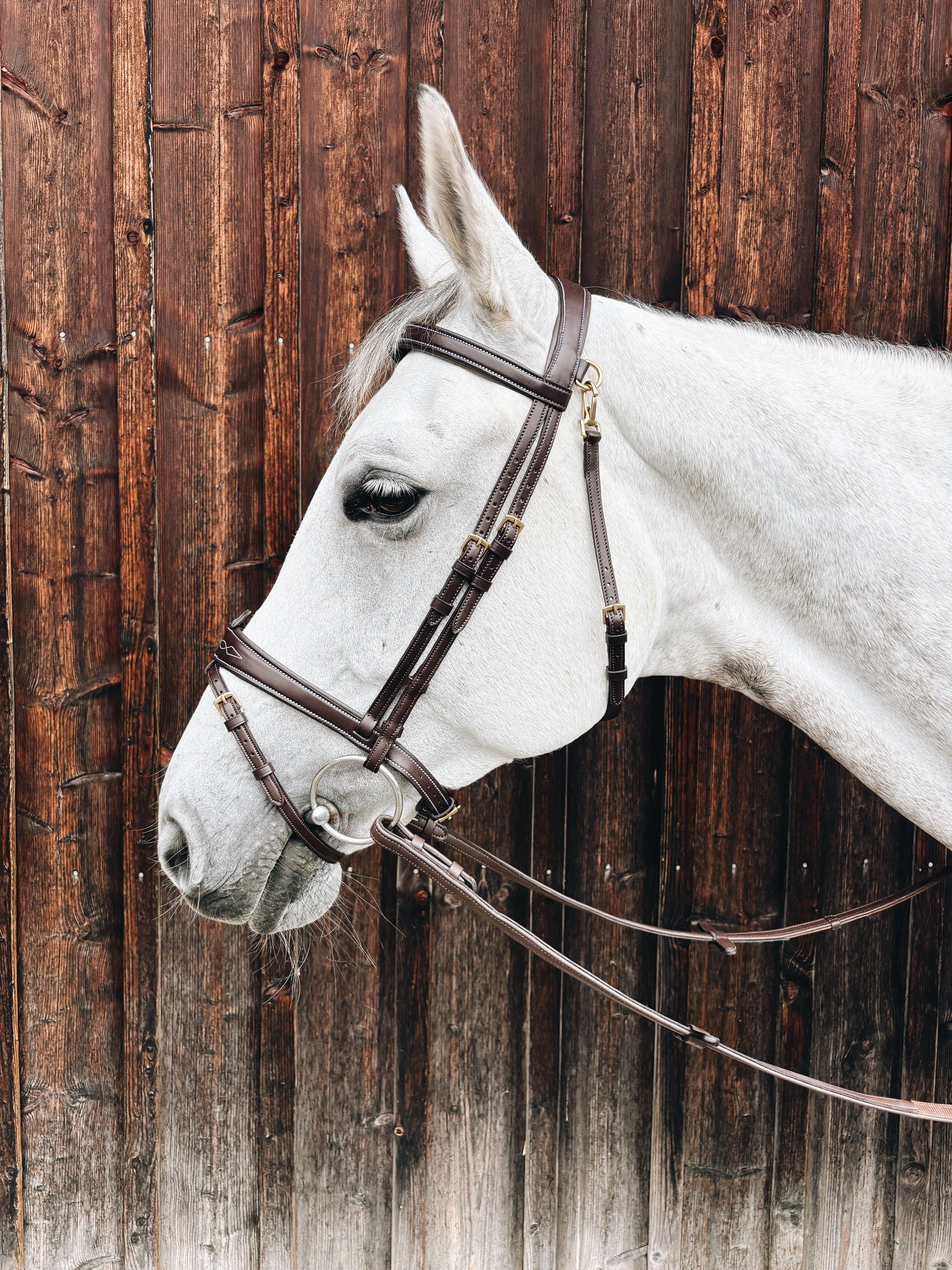 Bridle Mela Brown Decor - Brass