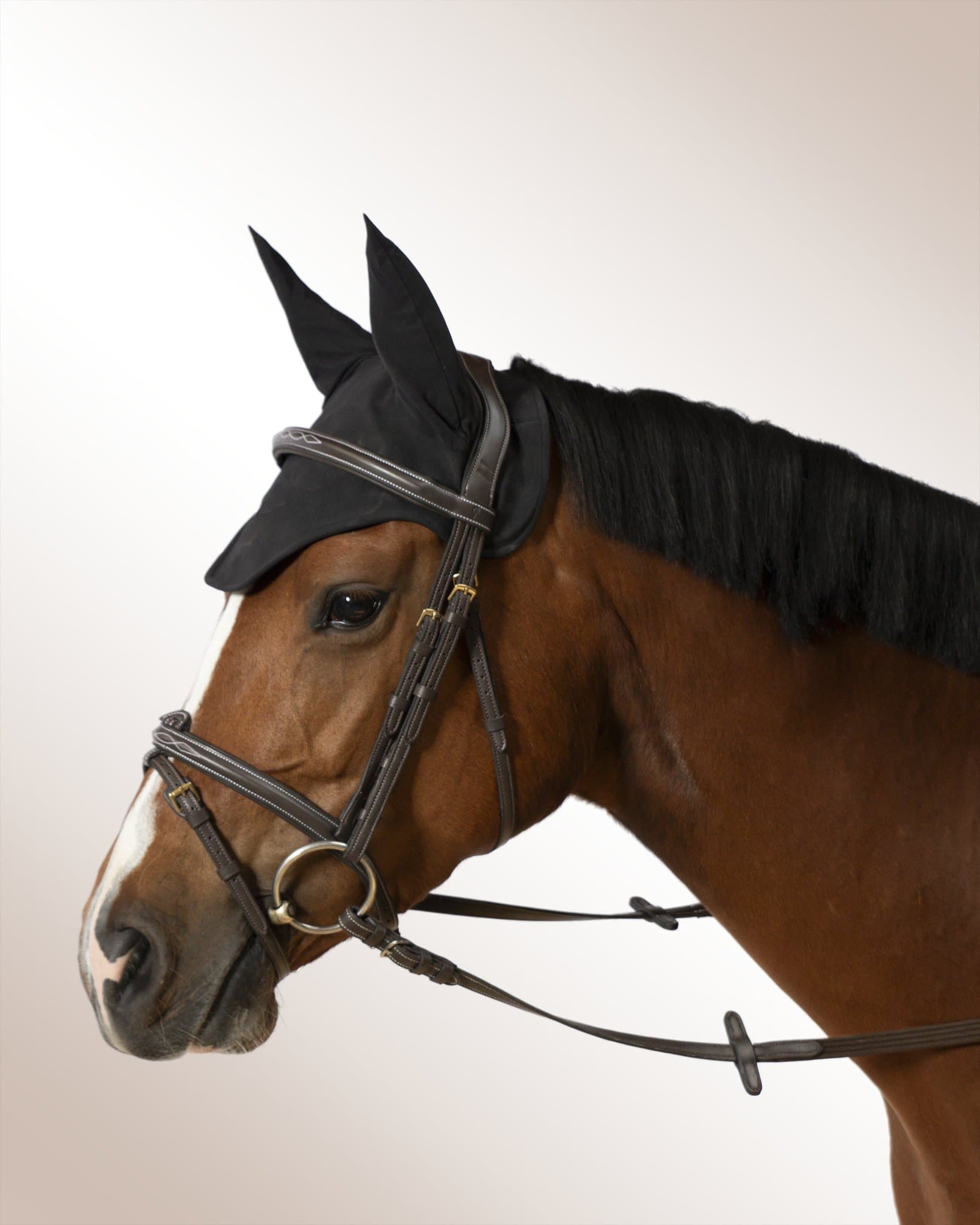 Bridle Mela Oraglia