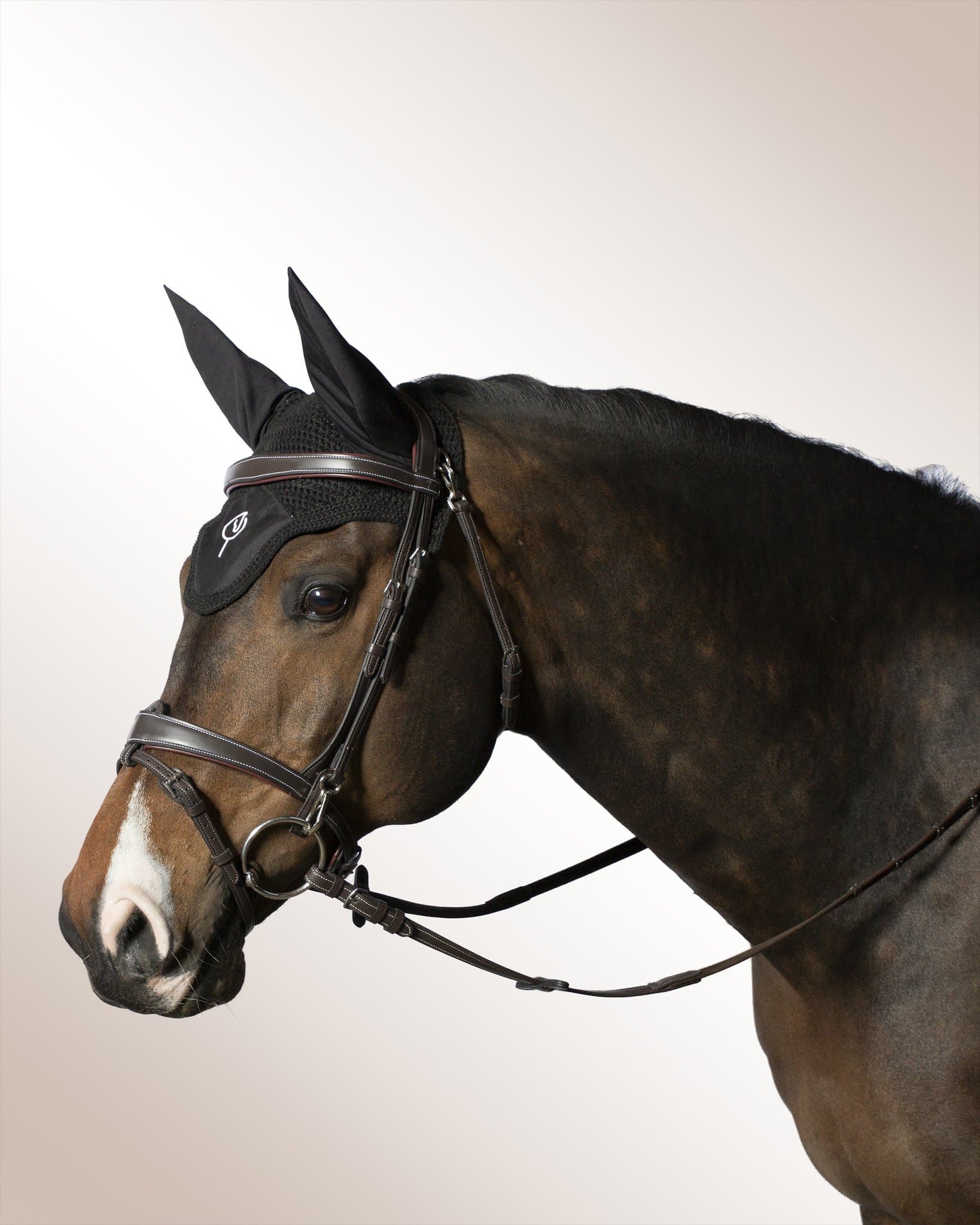 Bridle Mela Lenaglia