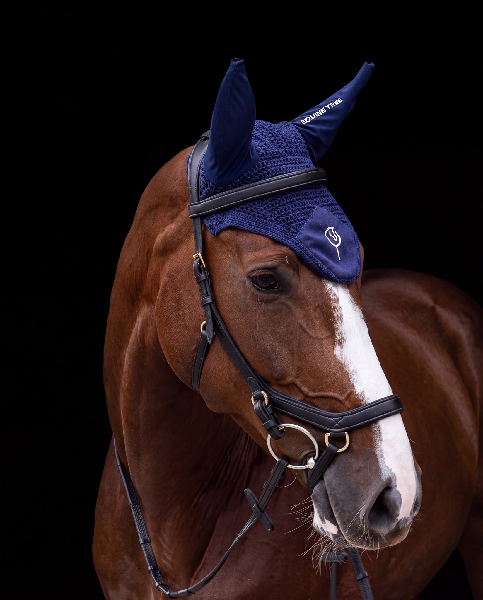 Chestnut horse wearing an Equinetree plant-based Uppeal™ bridle and navy ear bonnet