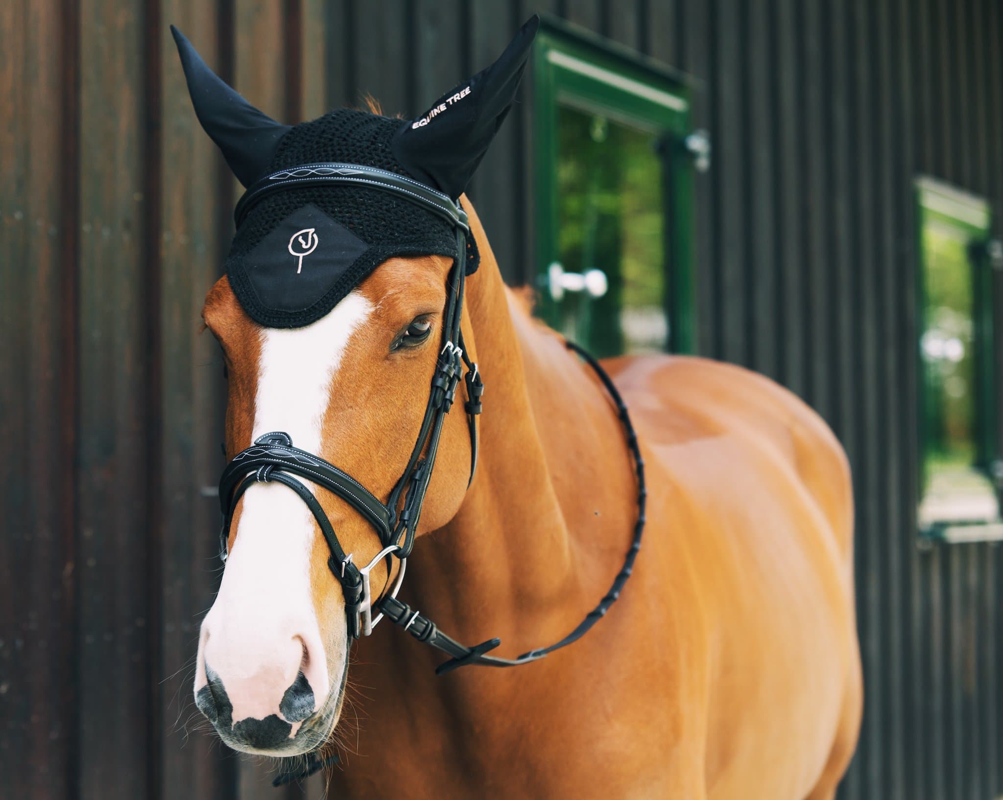 Bridle Mela Oraglia