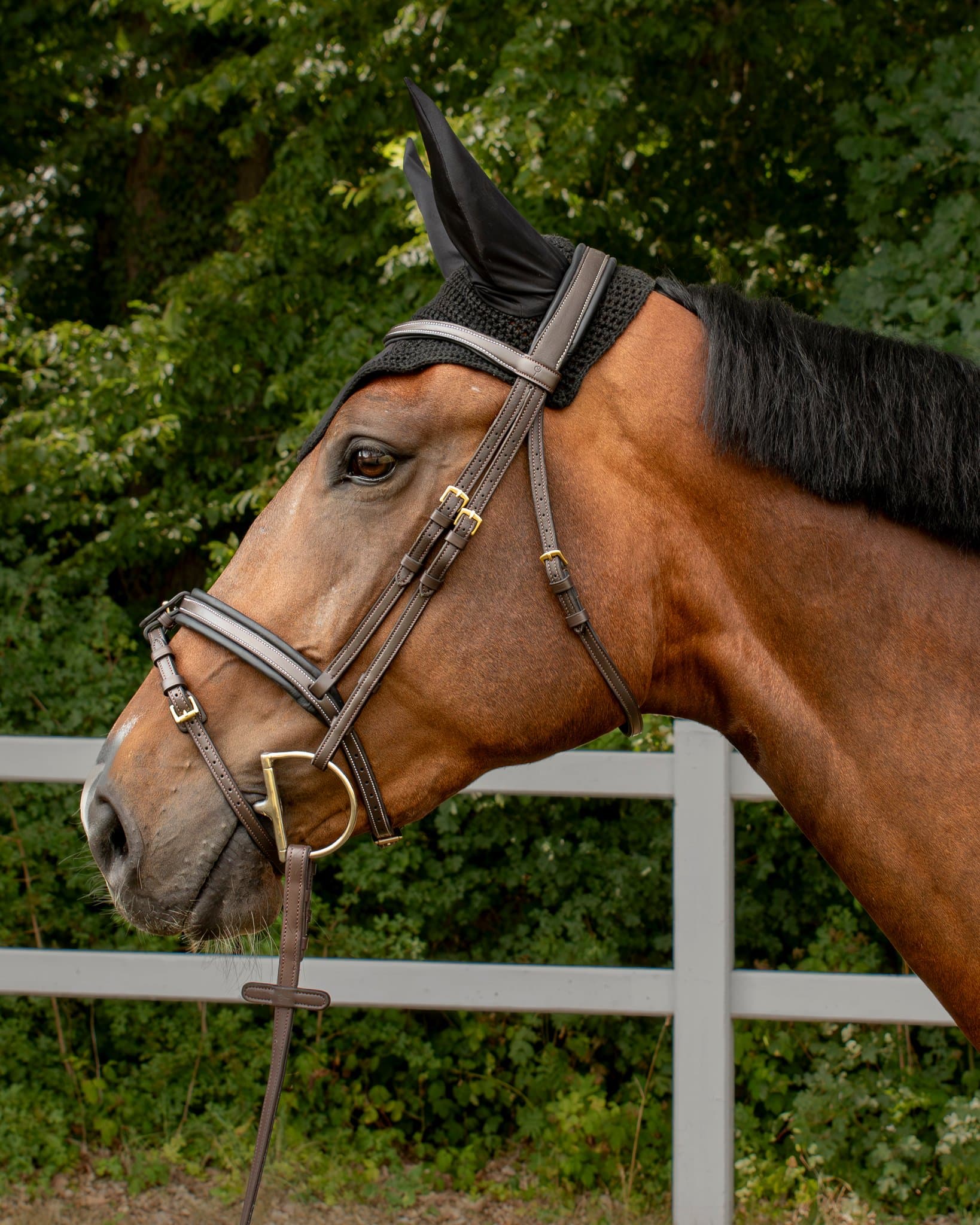 Bridle Mela Brischino