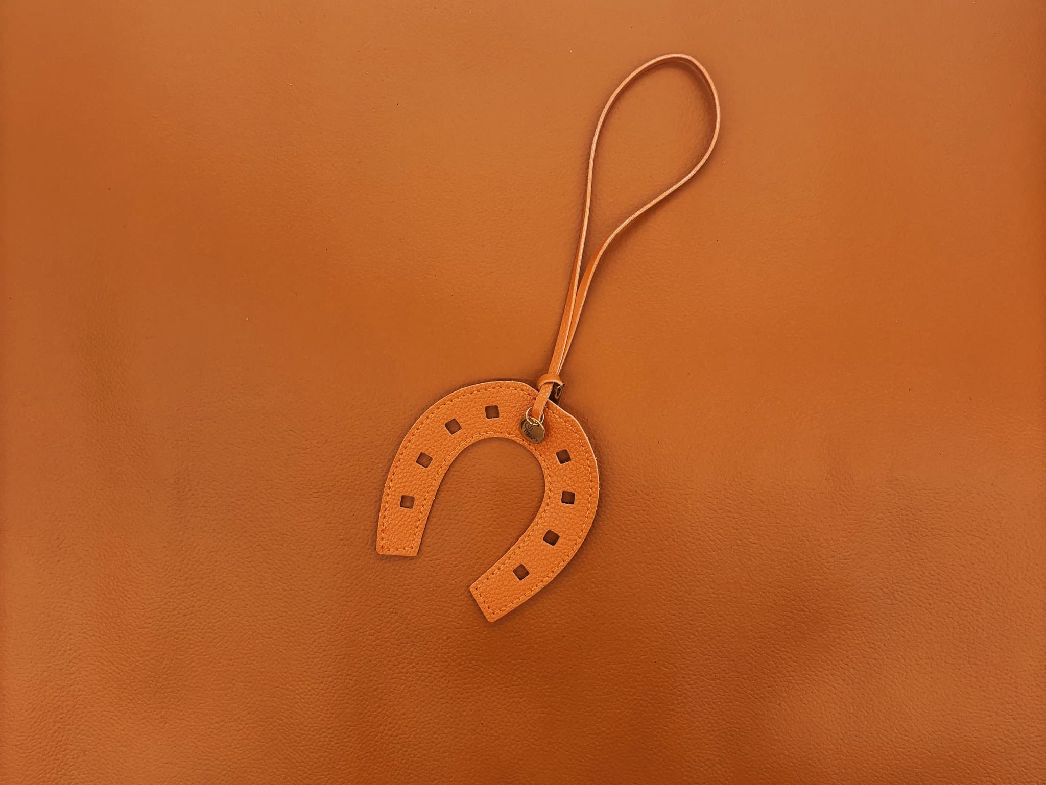 Equinetree Horseshoe Charm Club