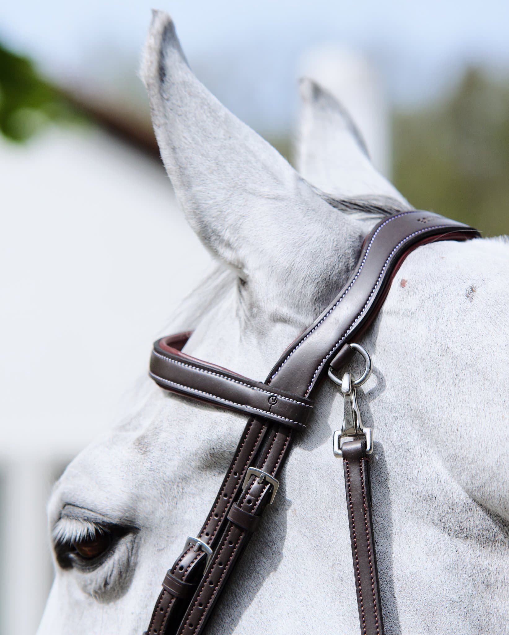 Bridle Mela Lenaglia