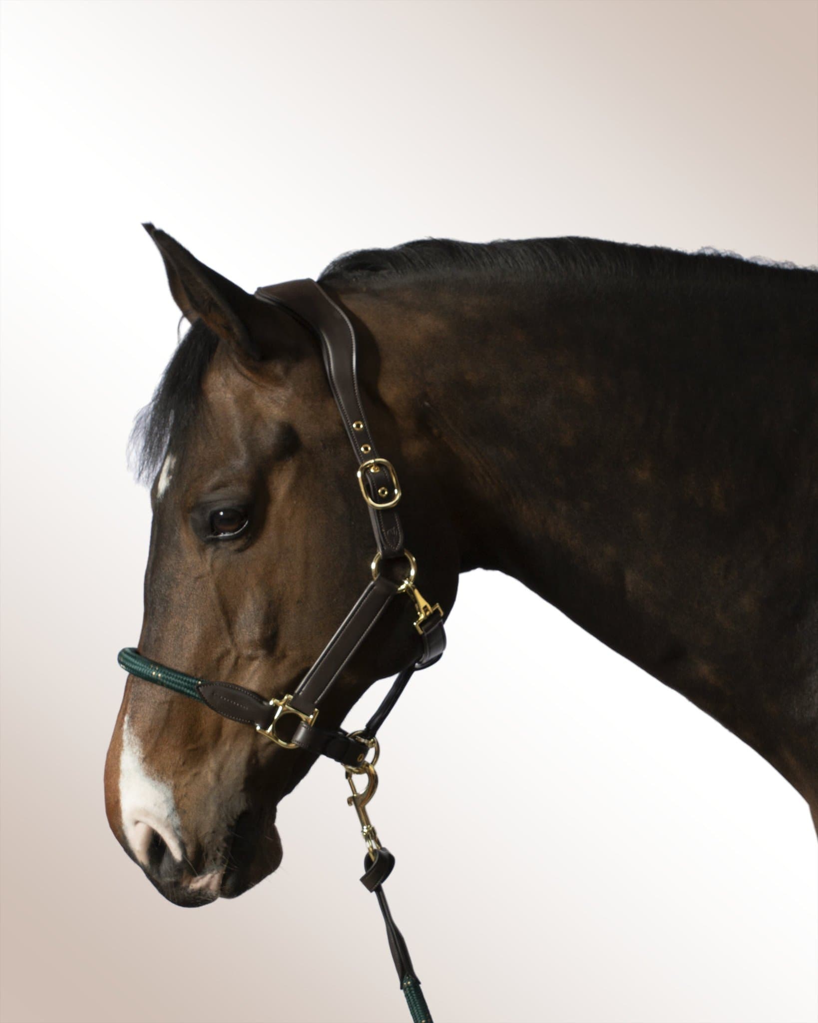 Halter Mela Olivoro