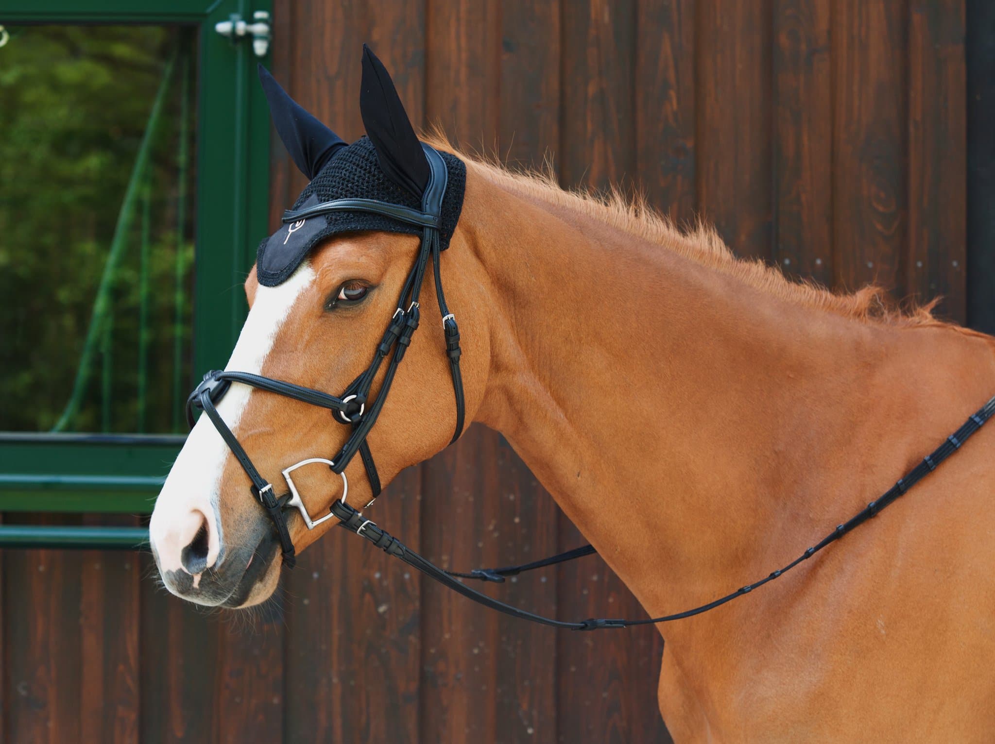 Bridle Mela Colligino