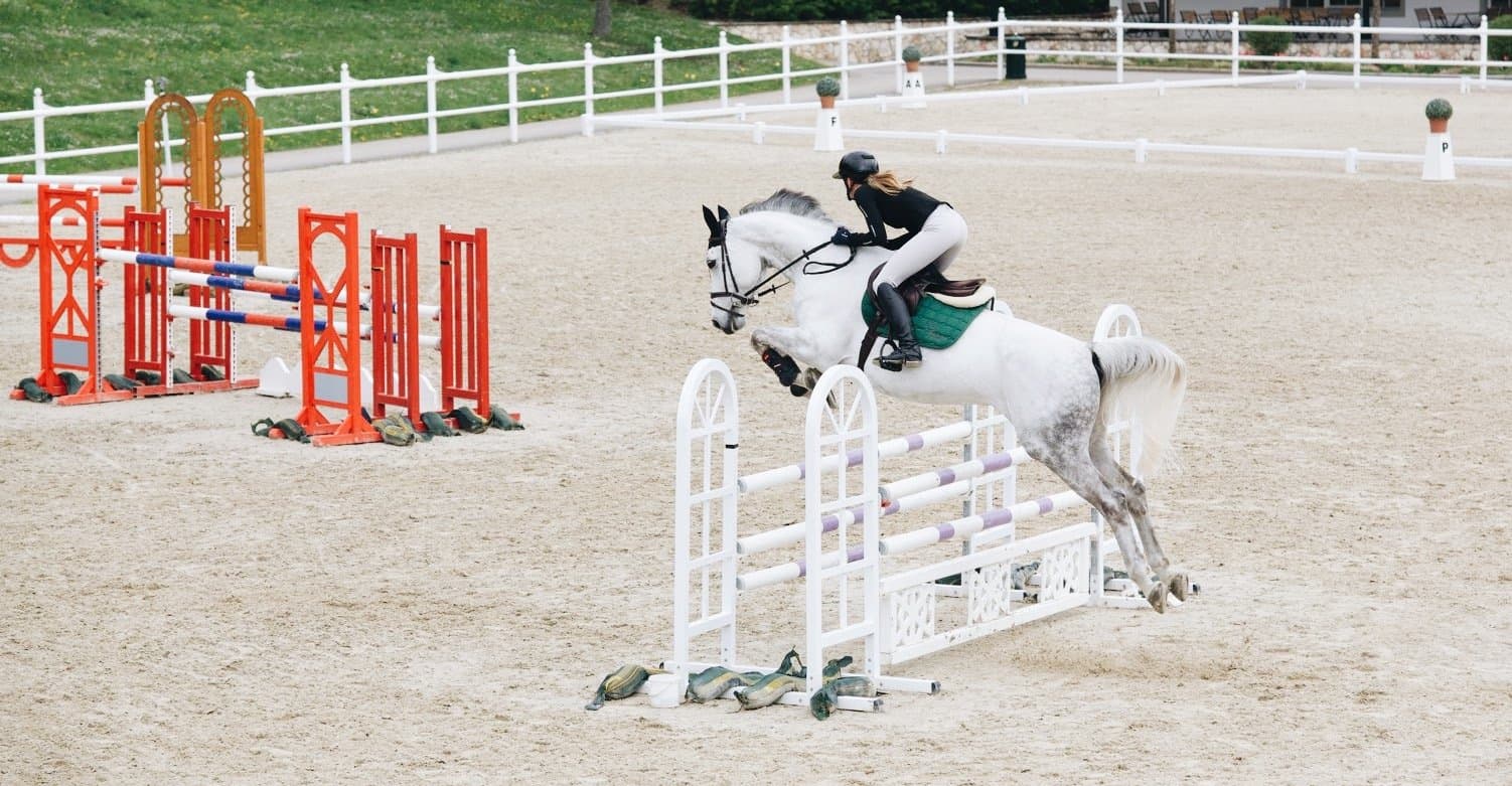 Show jumper on white horse