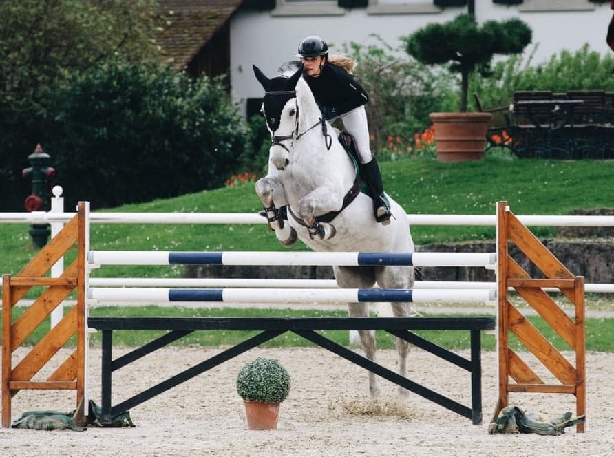 Equinetree show jumping — white horse over obstacle