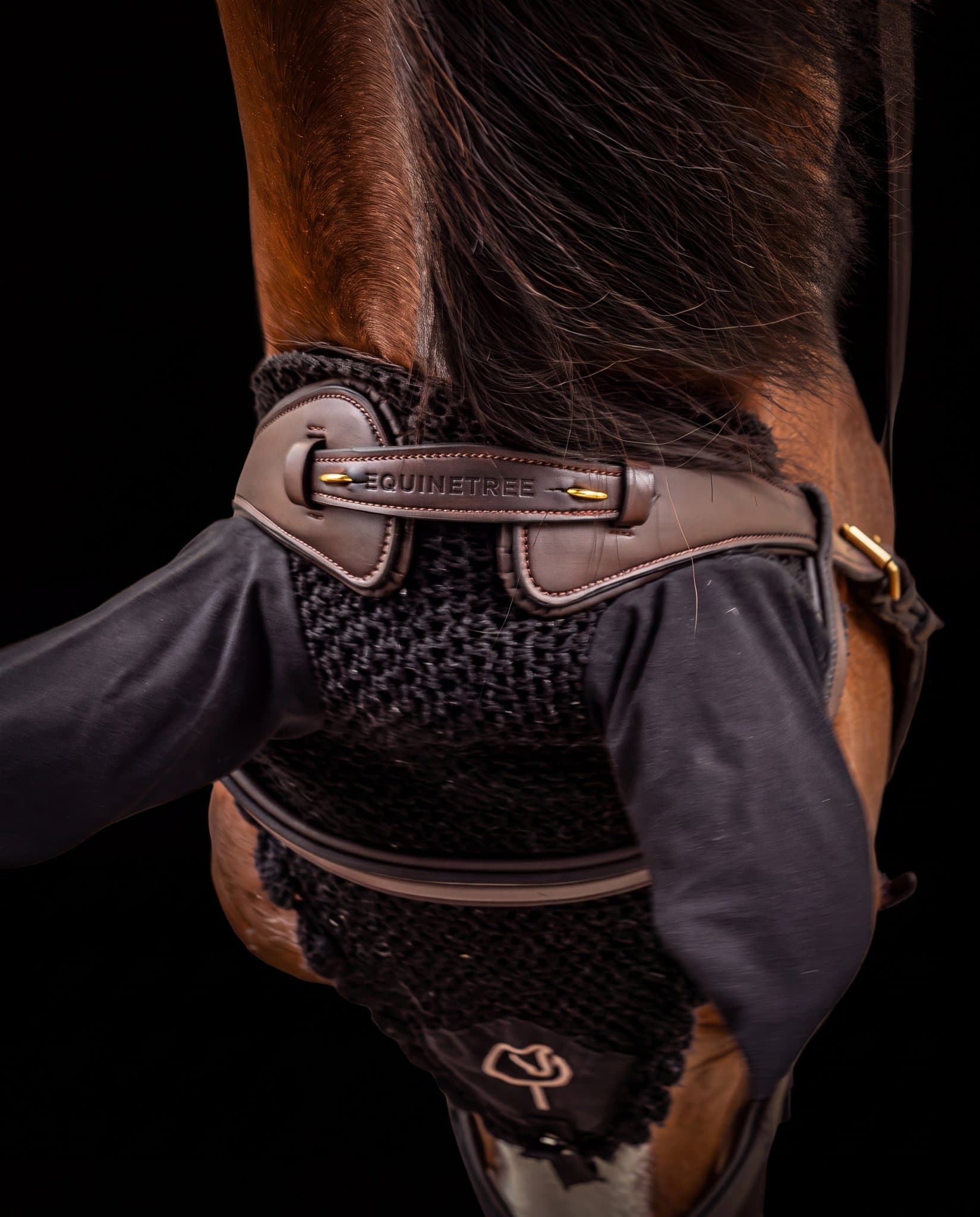 Bridle Mela Caventina