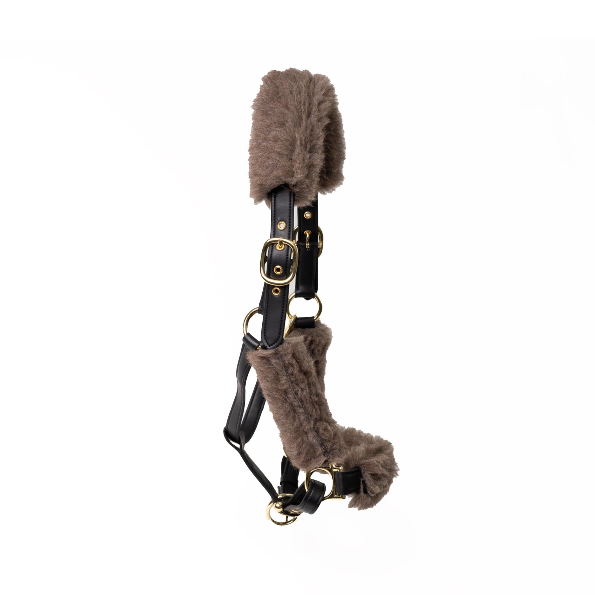 Halter with Alpaca Fleece — front view