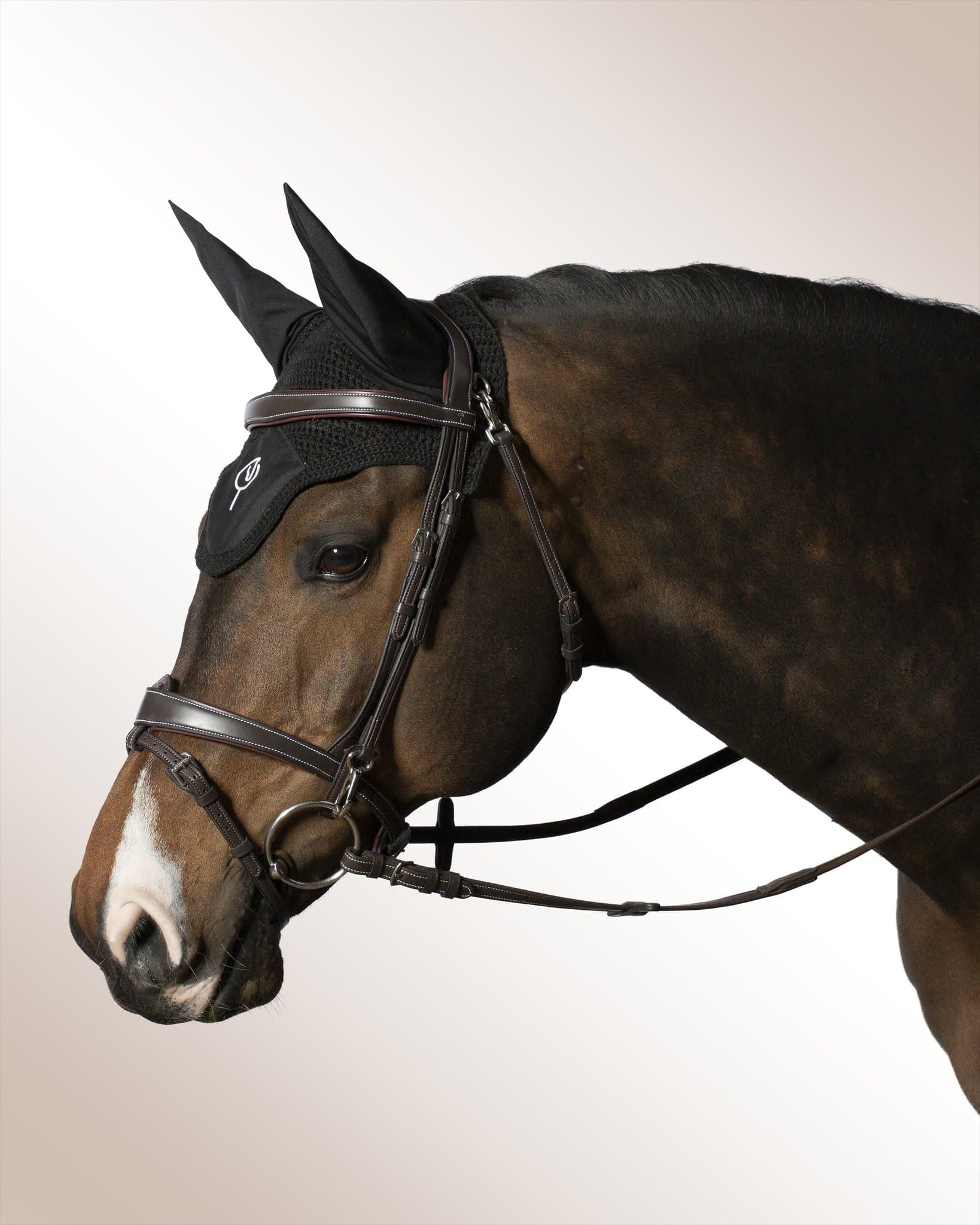 Bridle Mela Lenaglia