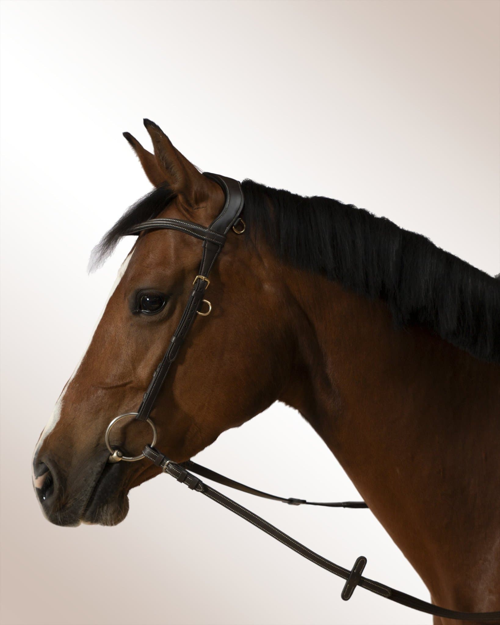 Bridle Mela Elacorda