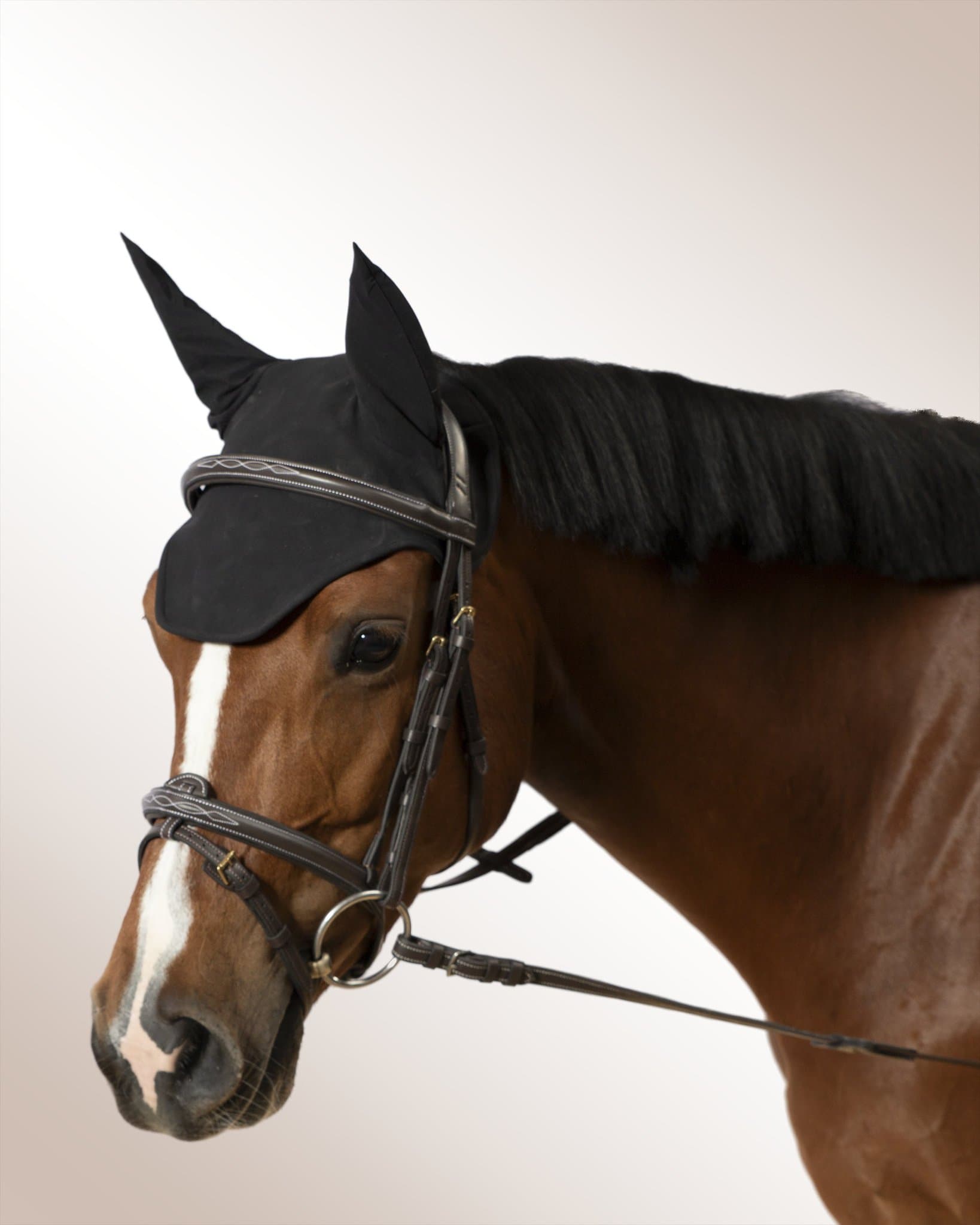 Bridle Mela Oraglia