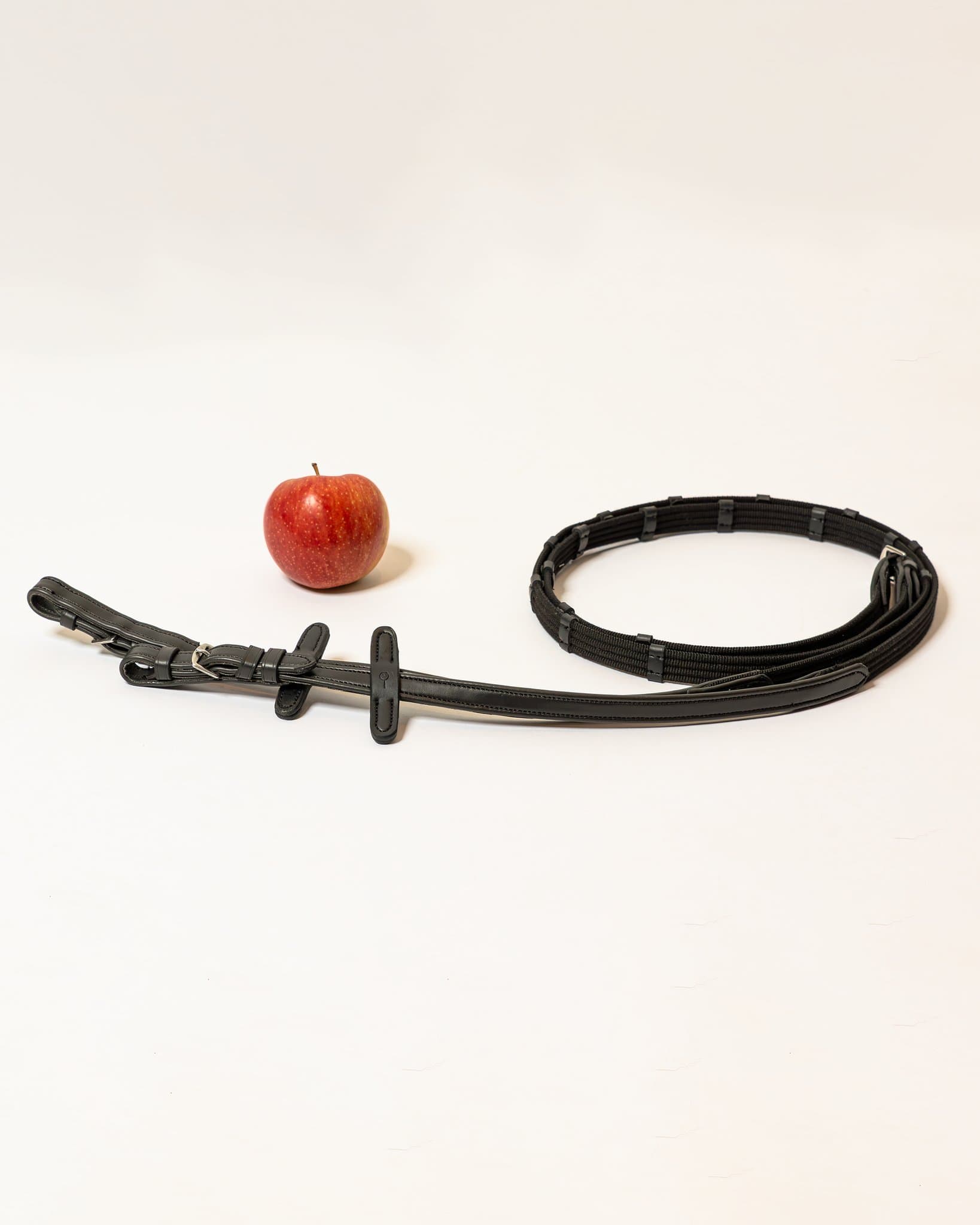 Mela Web Reins Mela 19mm with 5cm Bars