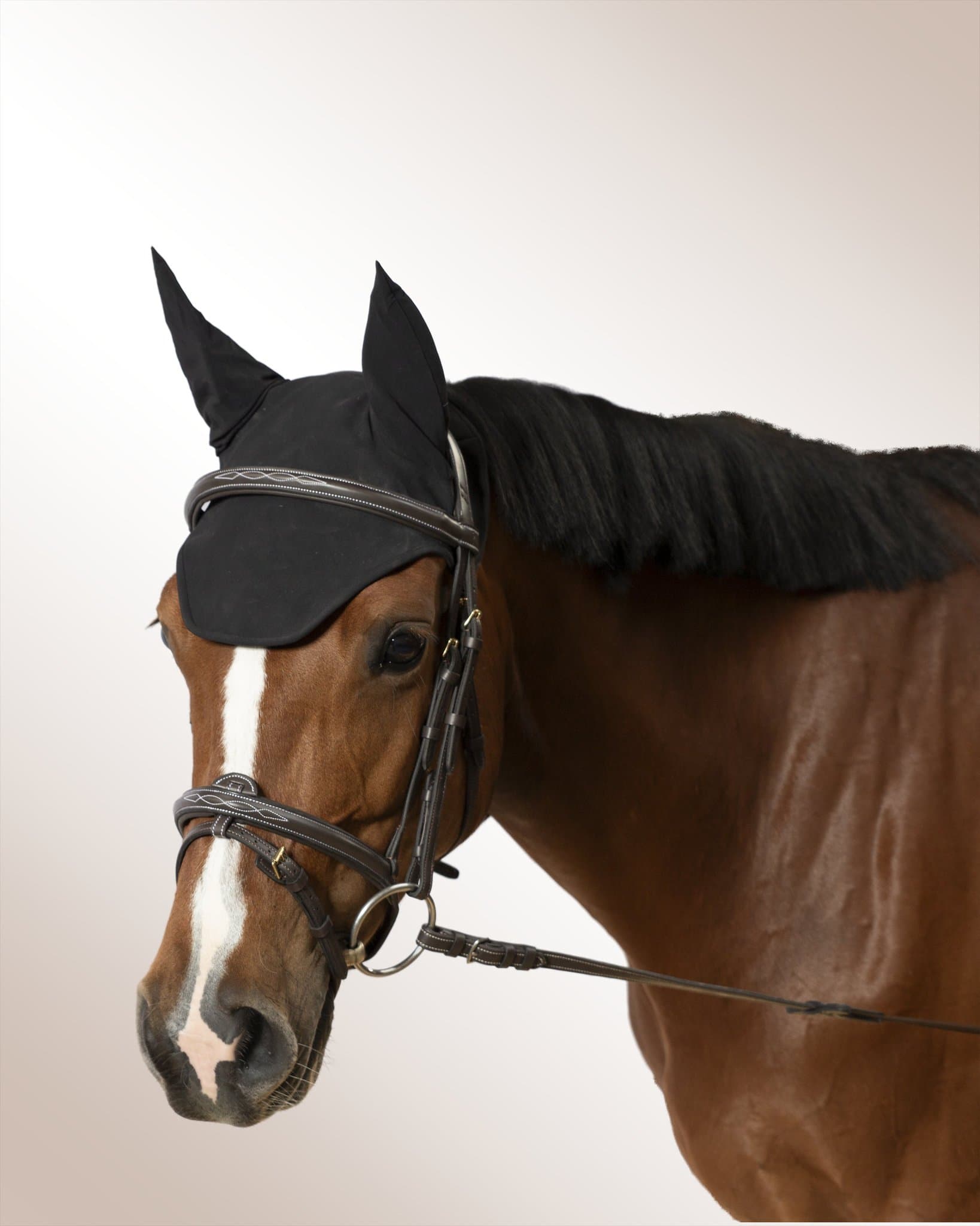 Bridle Mela Oraglia