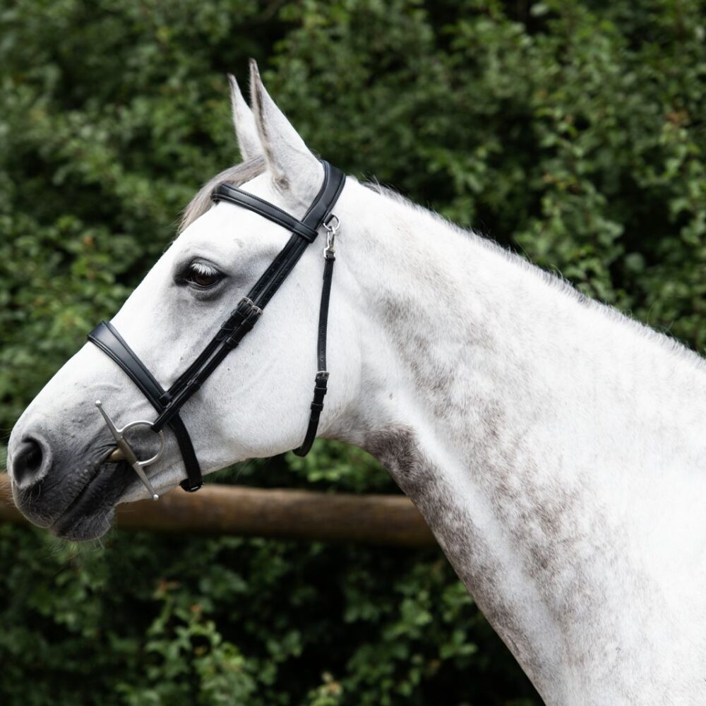 Bridle Mela T- Strap Black Classic