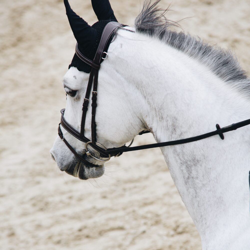 Bride Mela Décor Marron - INOX