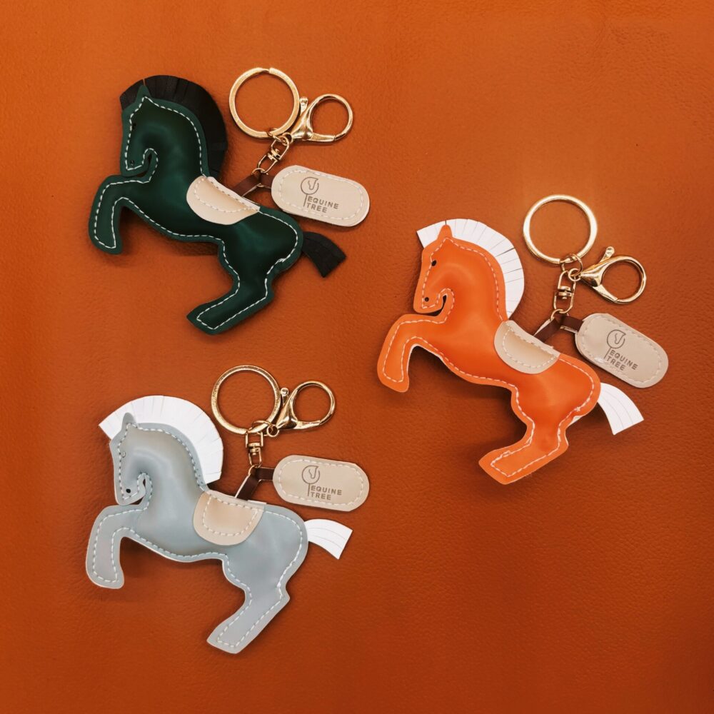 Equinetree Charm Pony Club